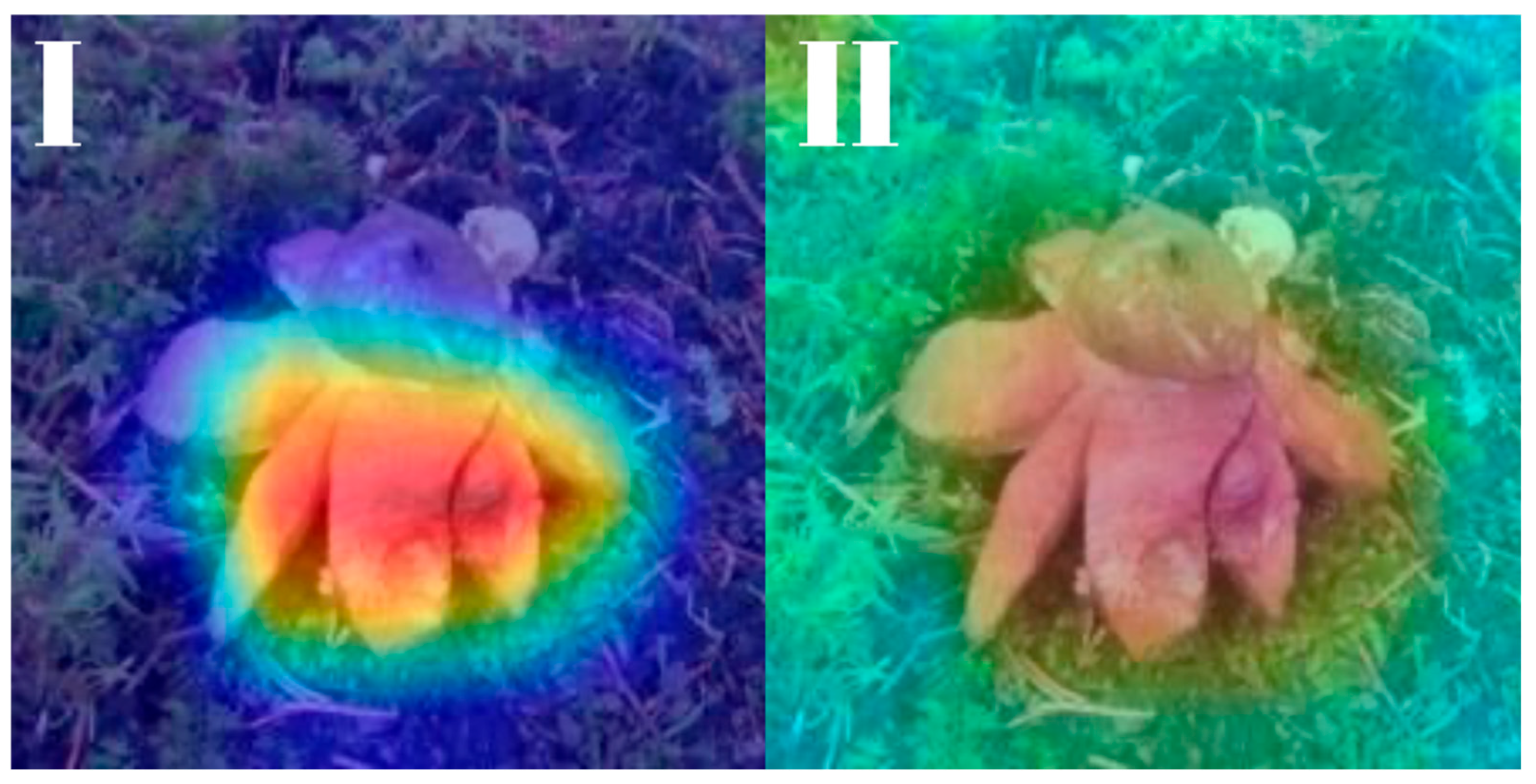 Biology 14 01313 g028