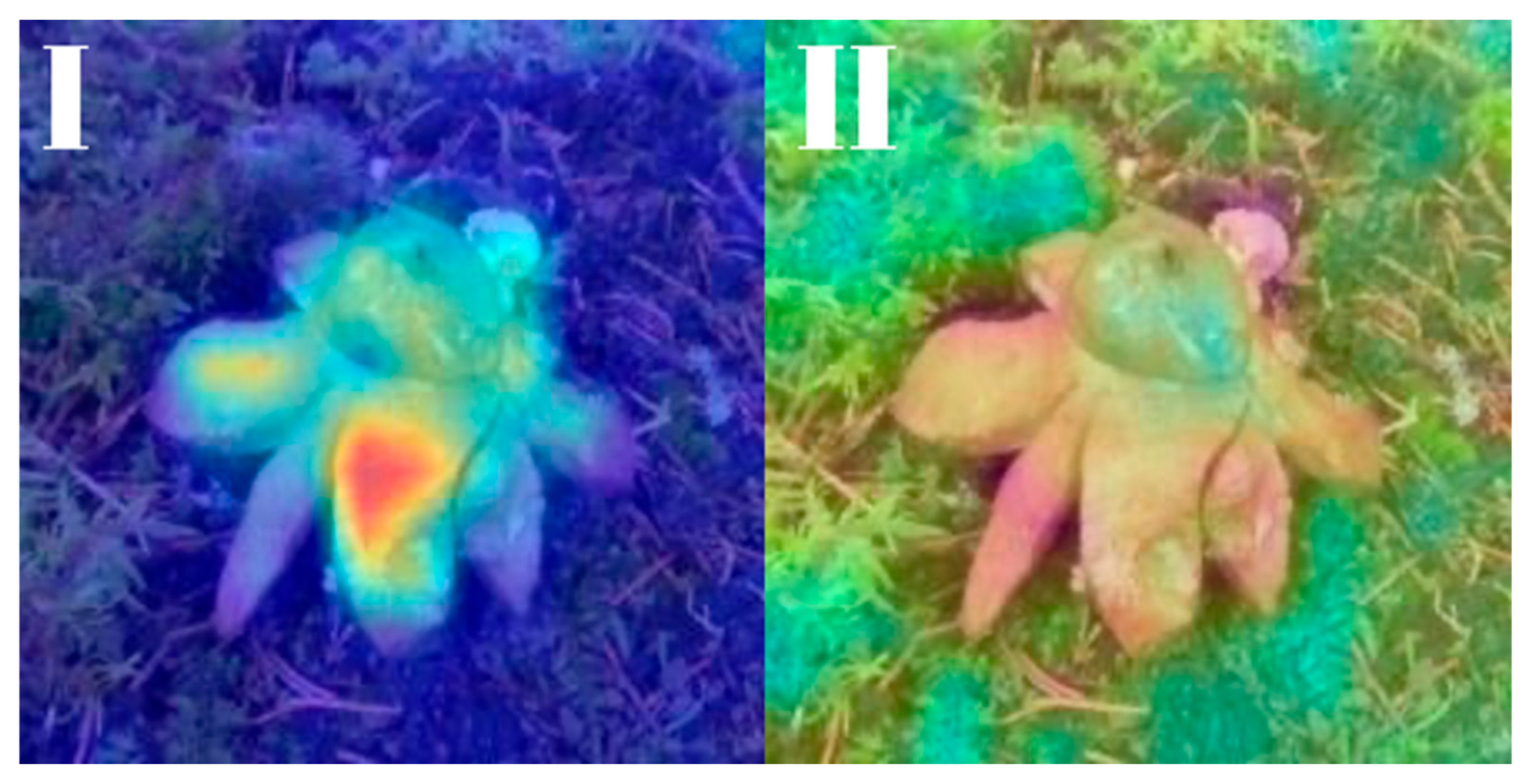 Biology 14 01313 g029