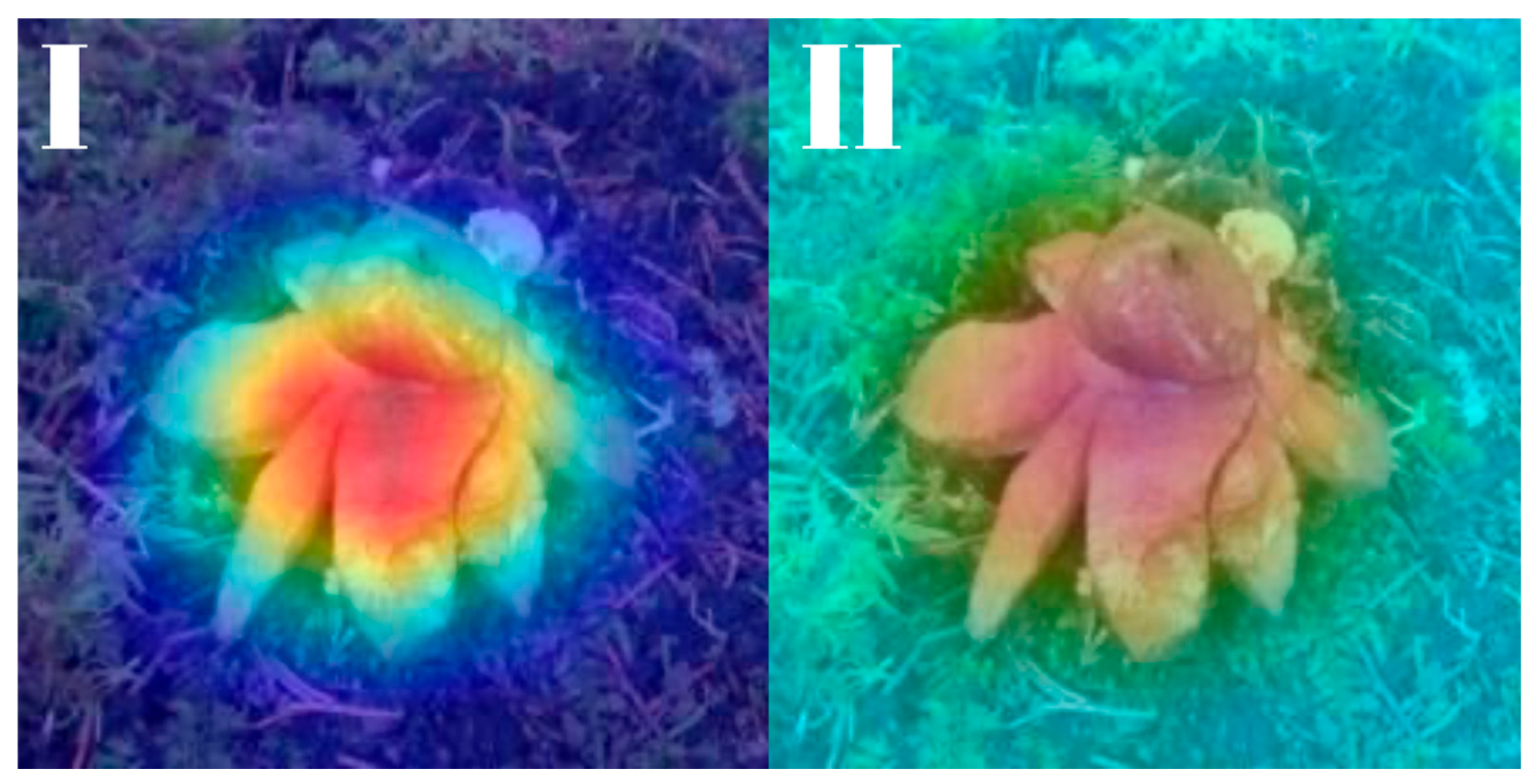 Biology 14 01313 g030