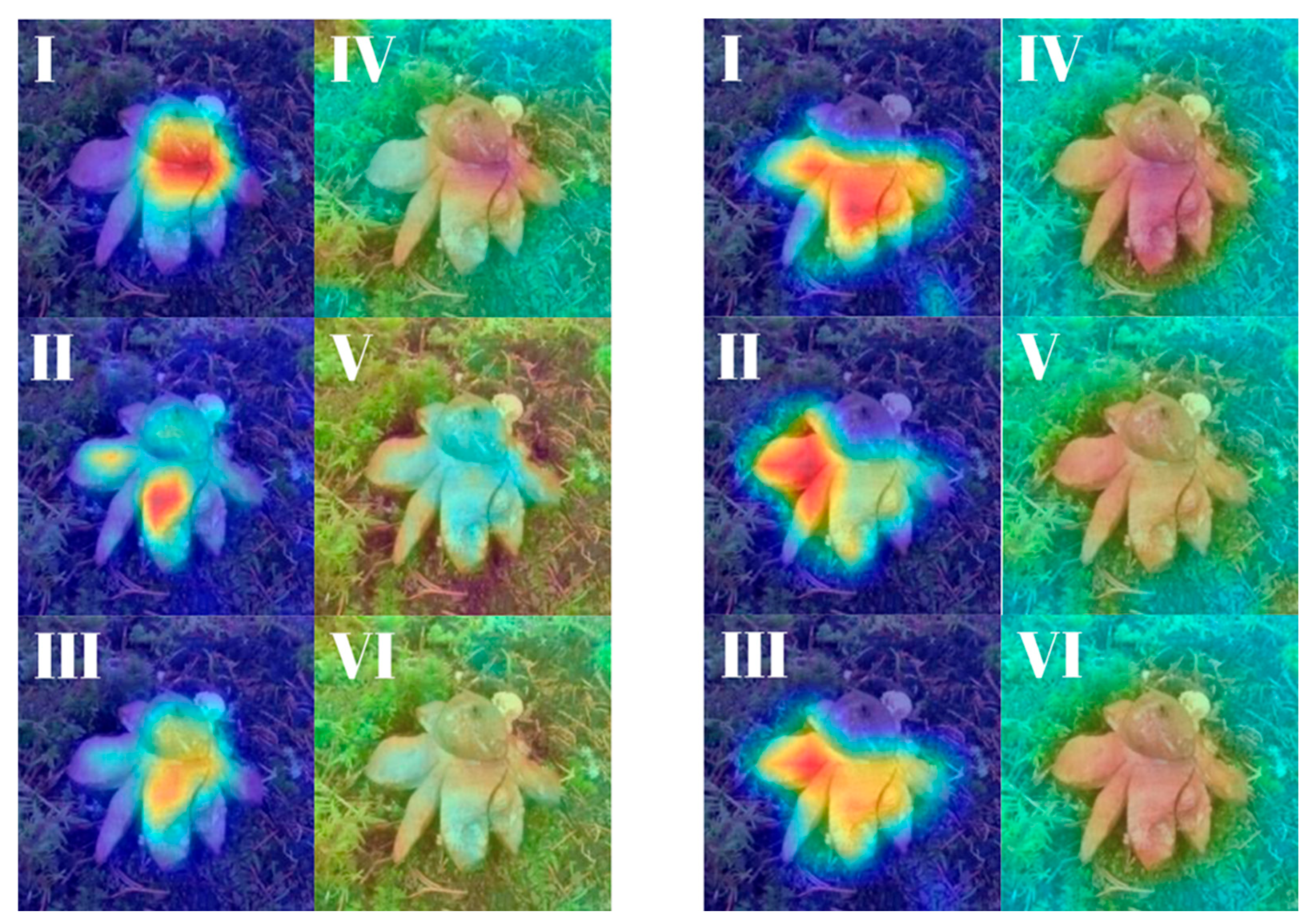 Biology 14 01313 g031