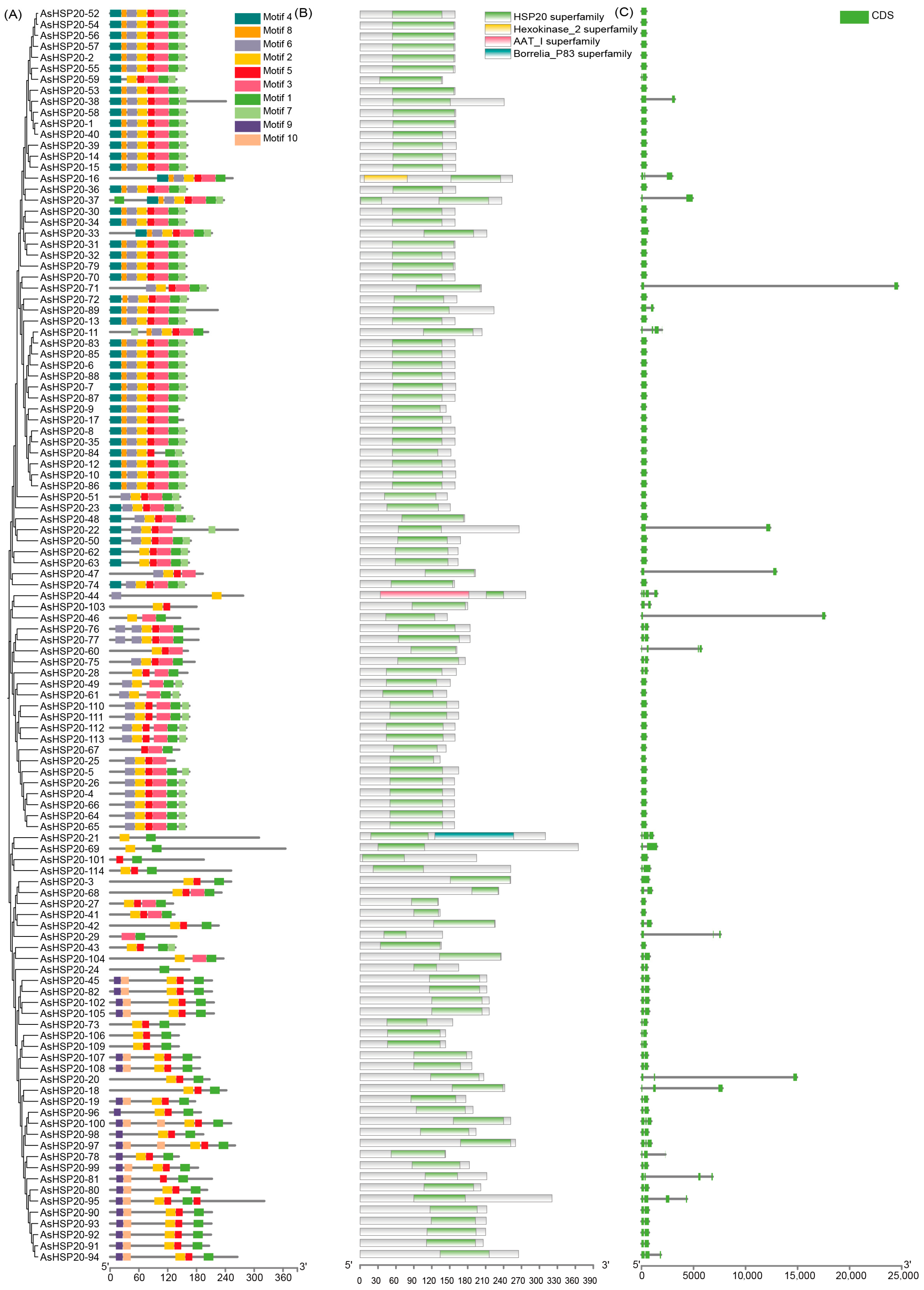 Biology 14 01326 g002