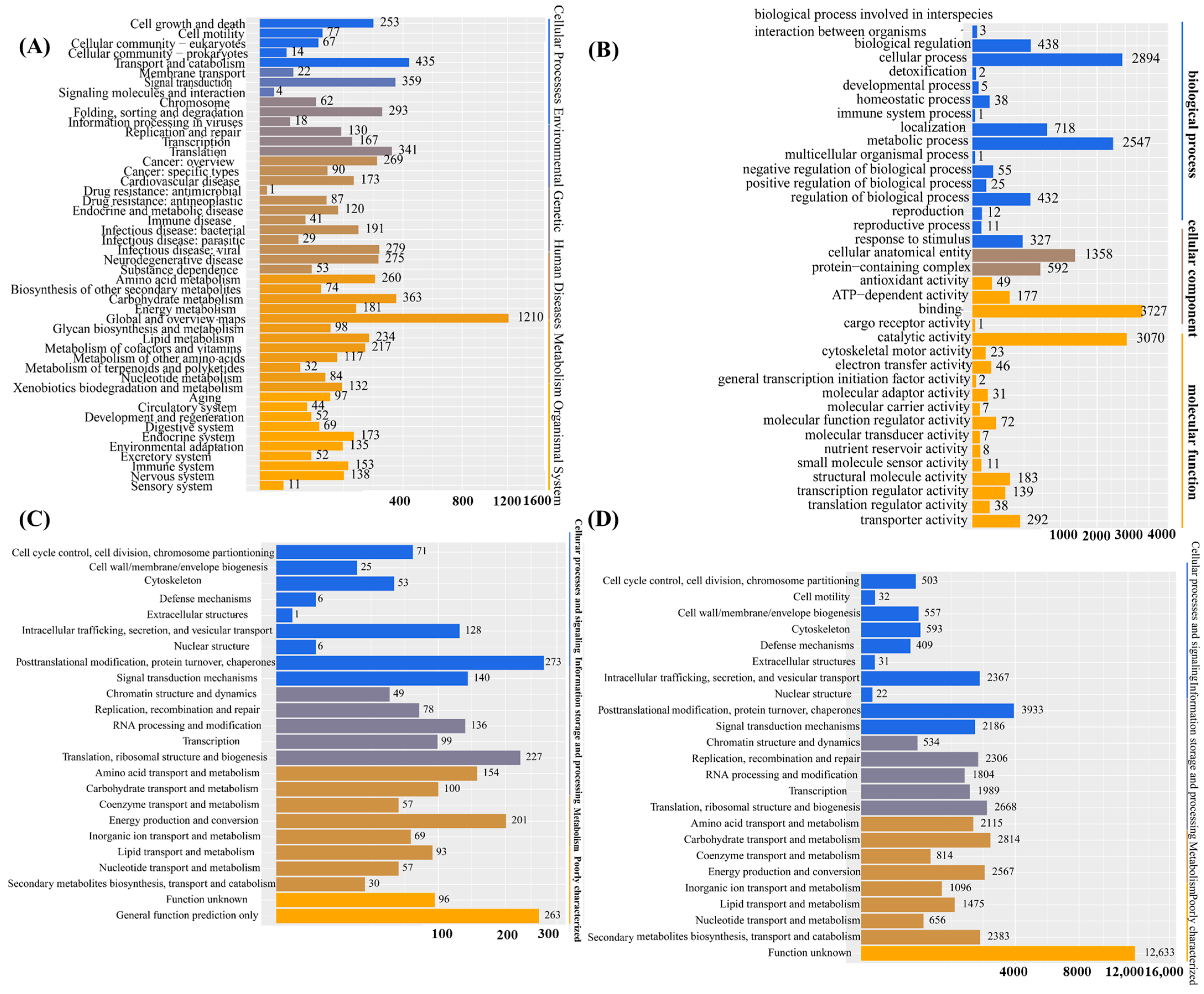 Biology 14 01339 g001