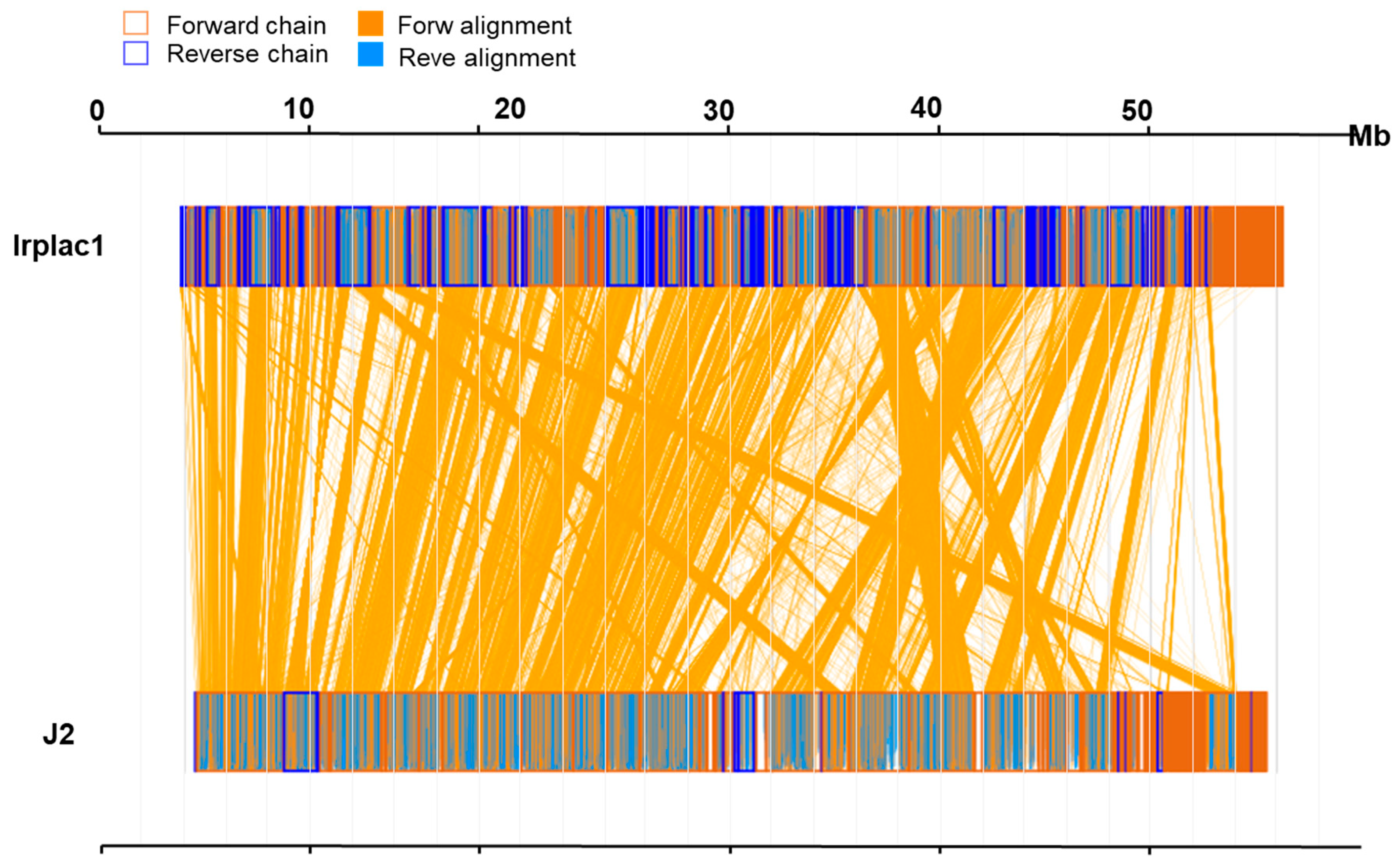 Biology 14 01339 g002
