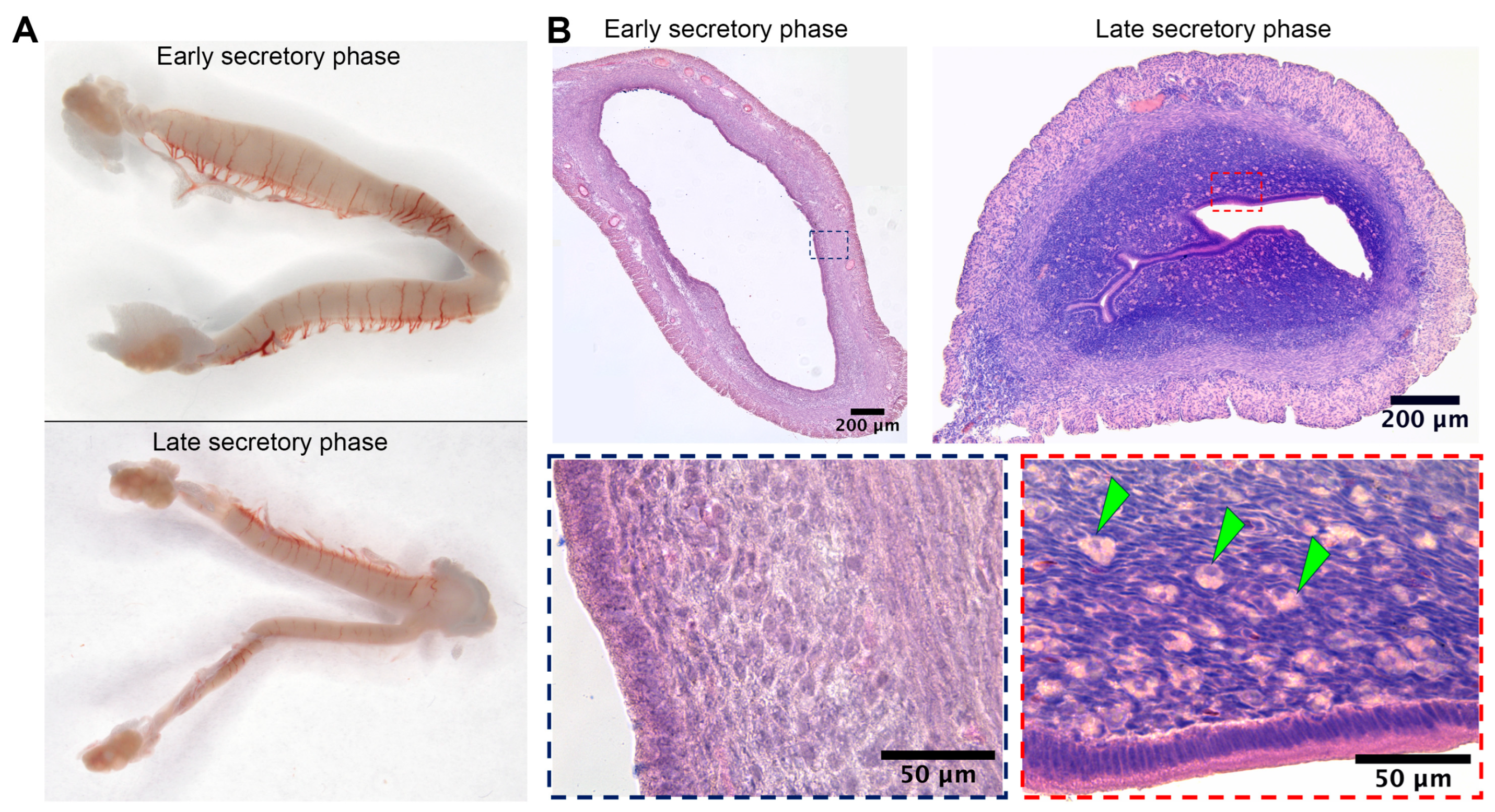 Biology 14 01365 g002