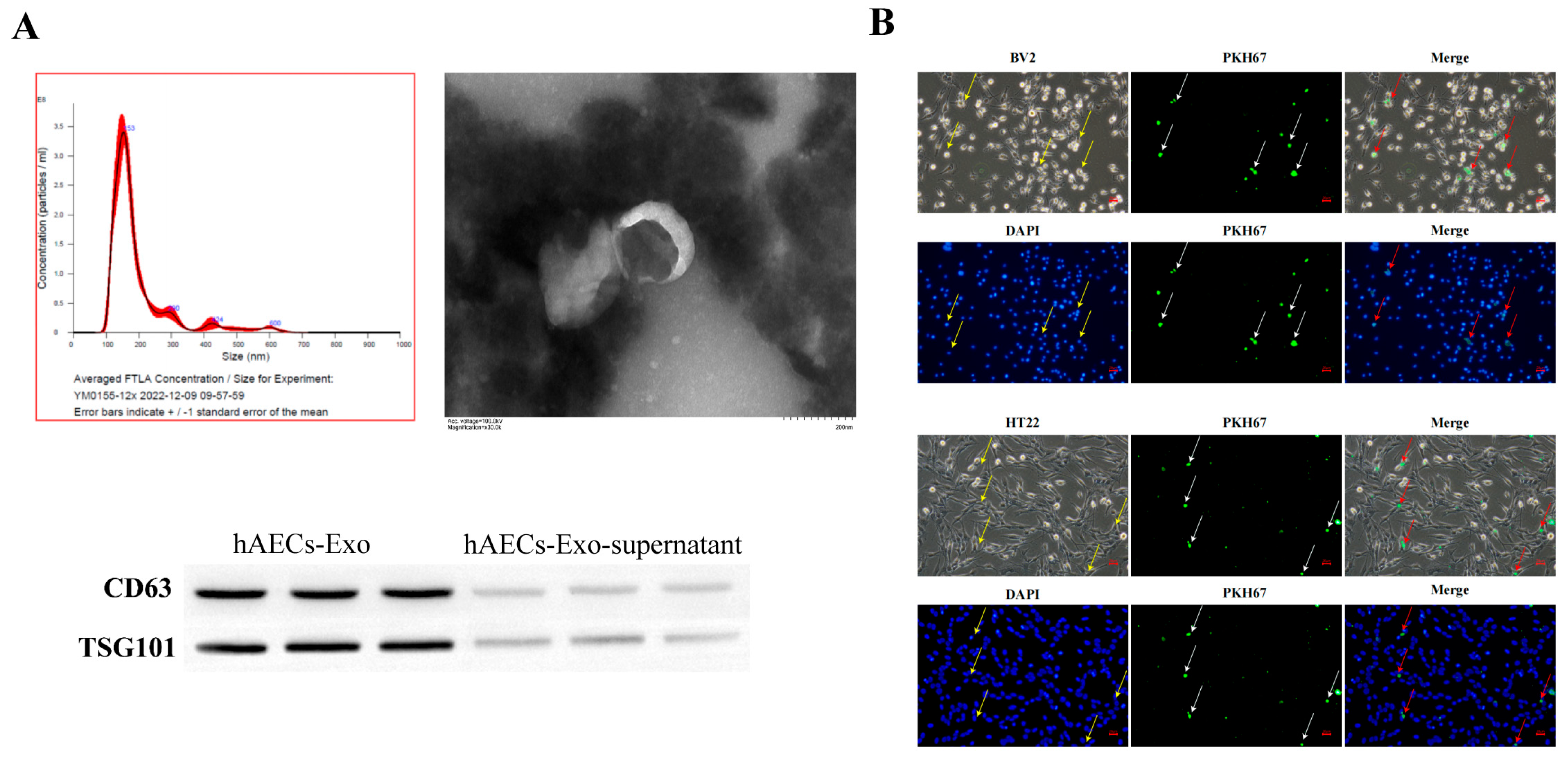 Biology 14 01368 g002 Biology 14 01368 g002