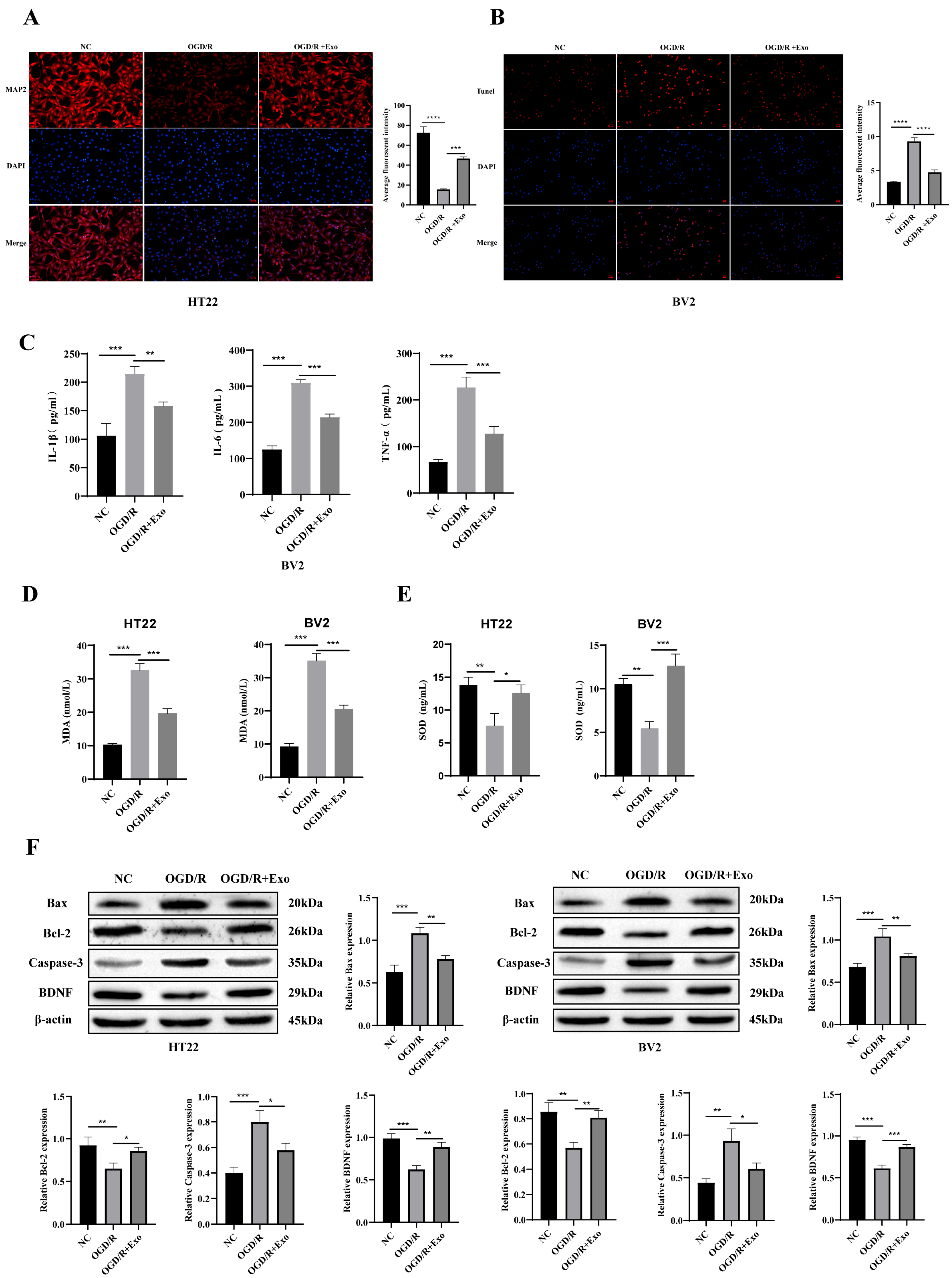 Biology 14 01368 g003 Biology 14 01368 g003