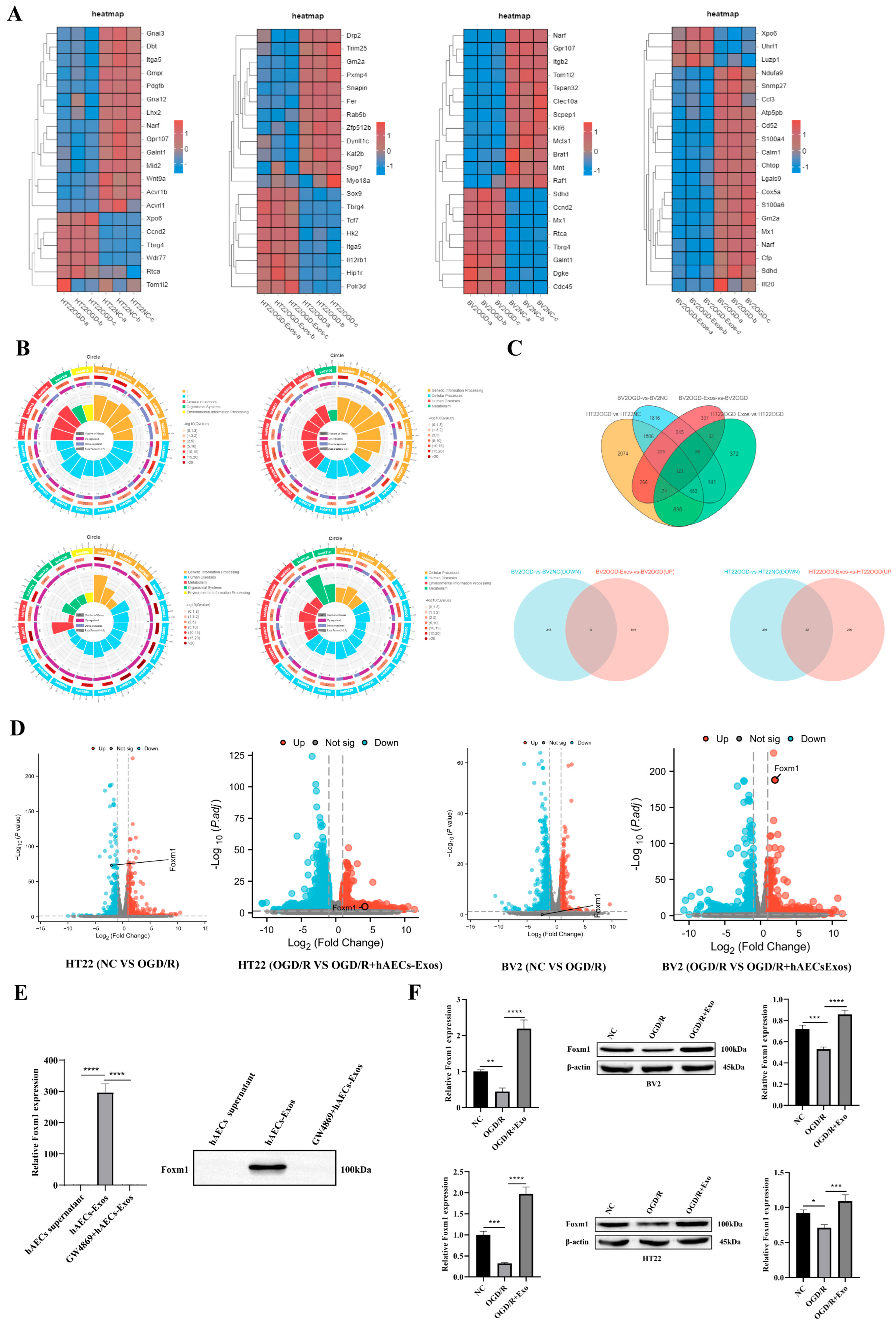 Biology 14 01368 g004 Biology 14 01368 g004