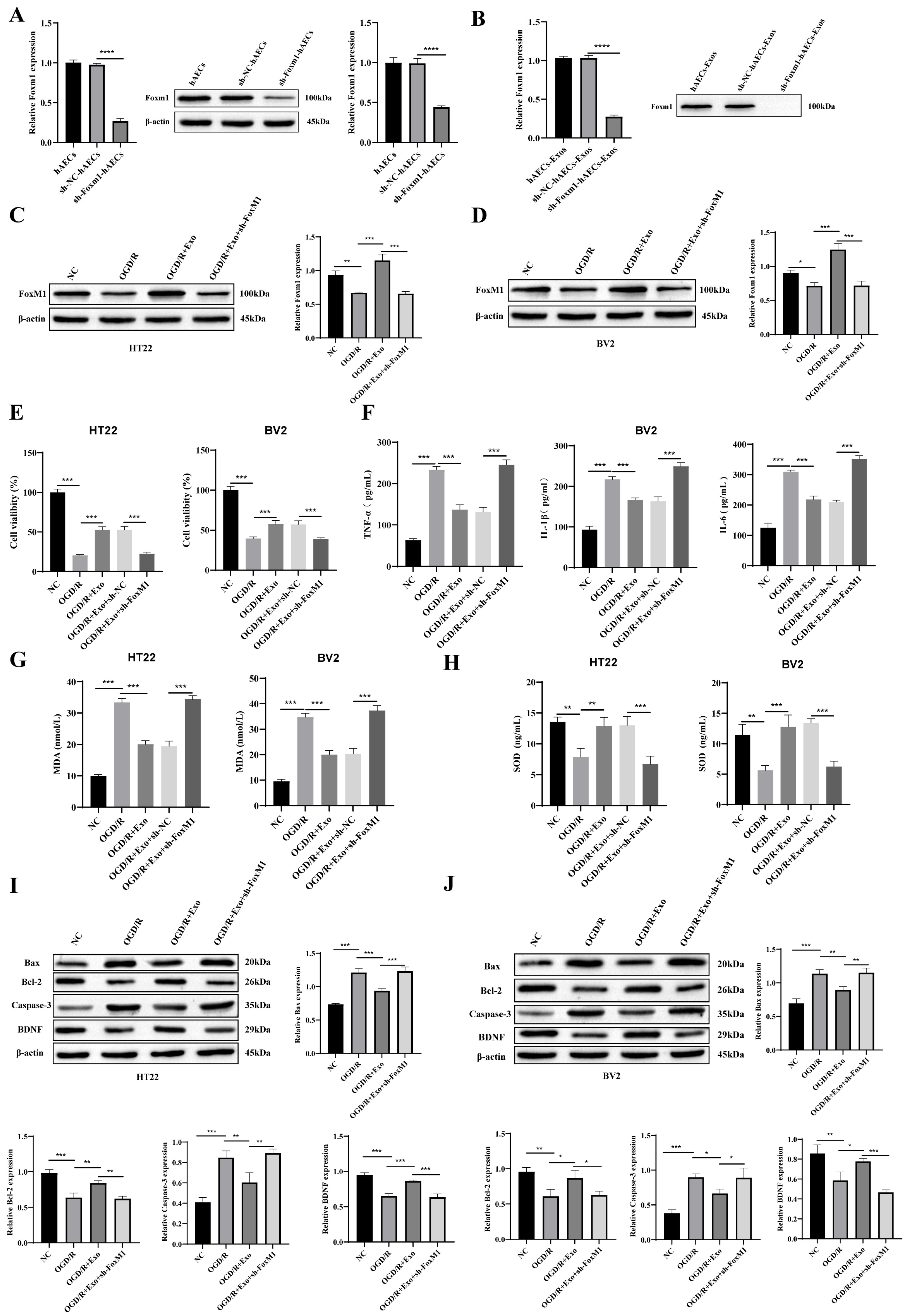Biology 14 01368 g005 Biology 14 01368 g005