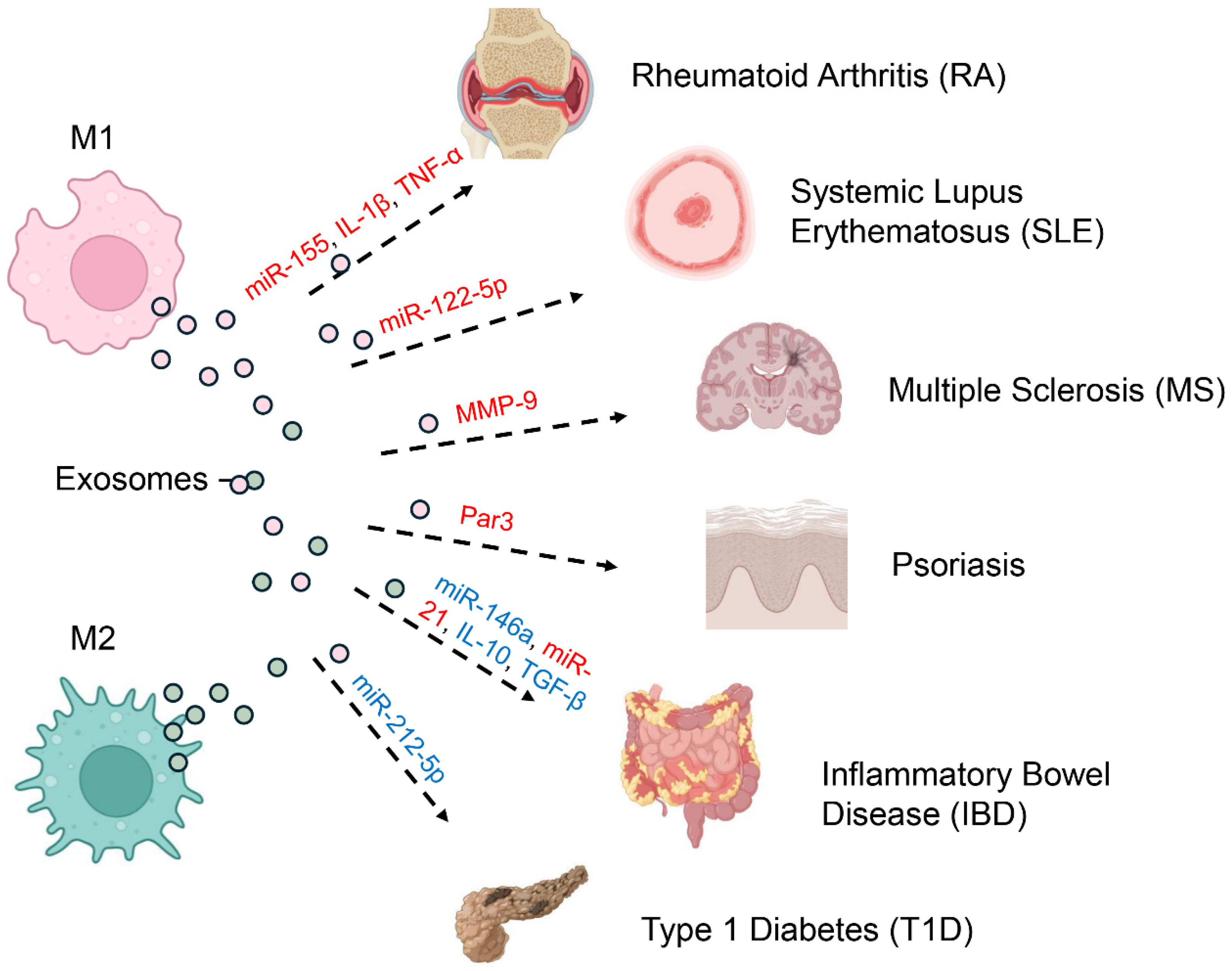 Biology 14 01371 g003