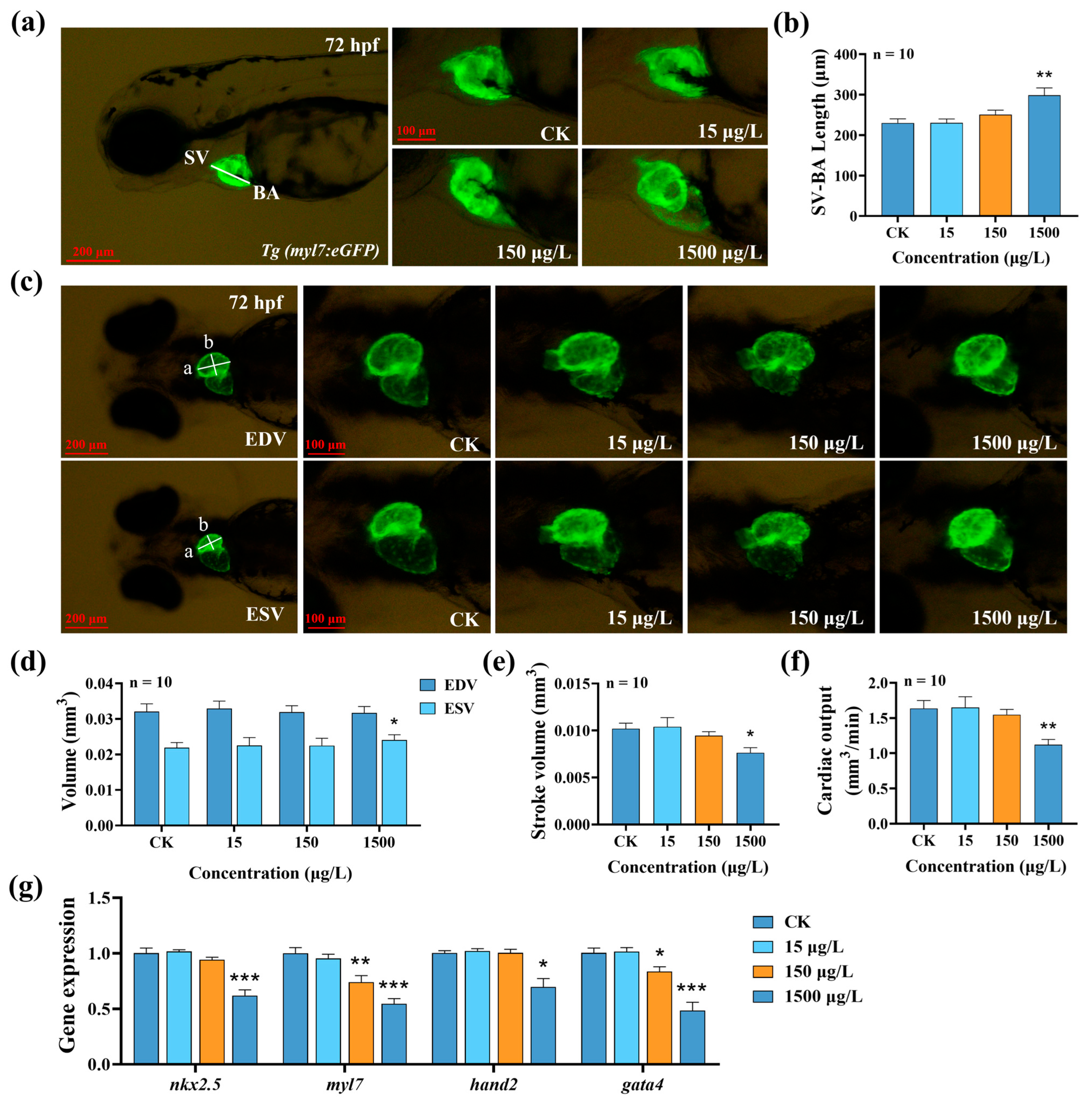 Biology 14 01398 g002