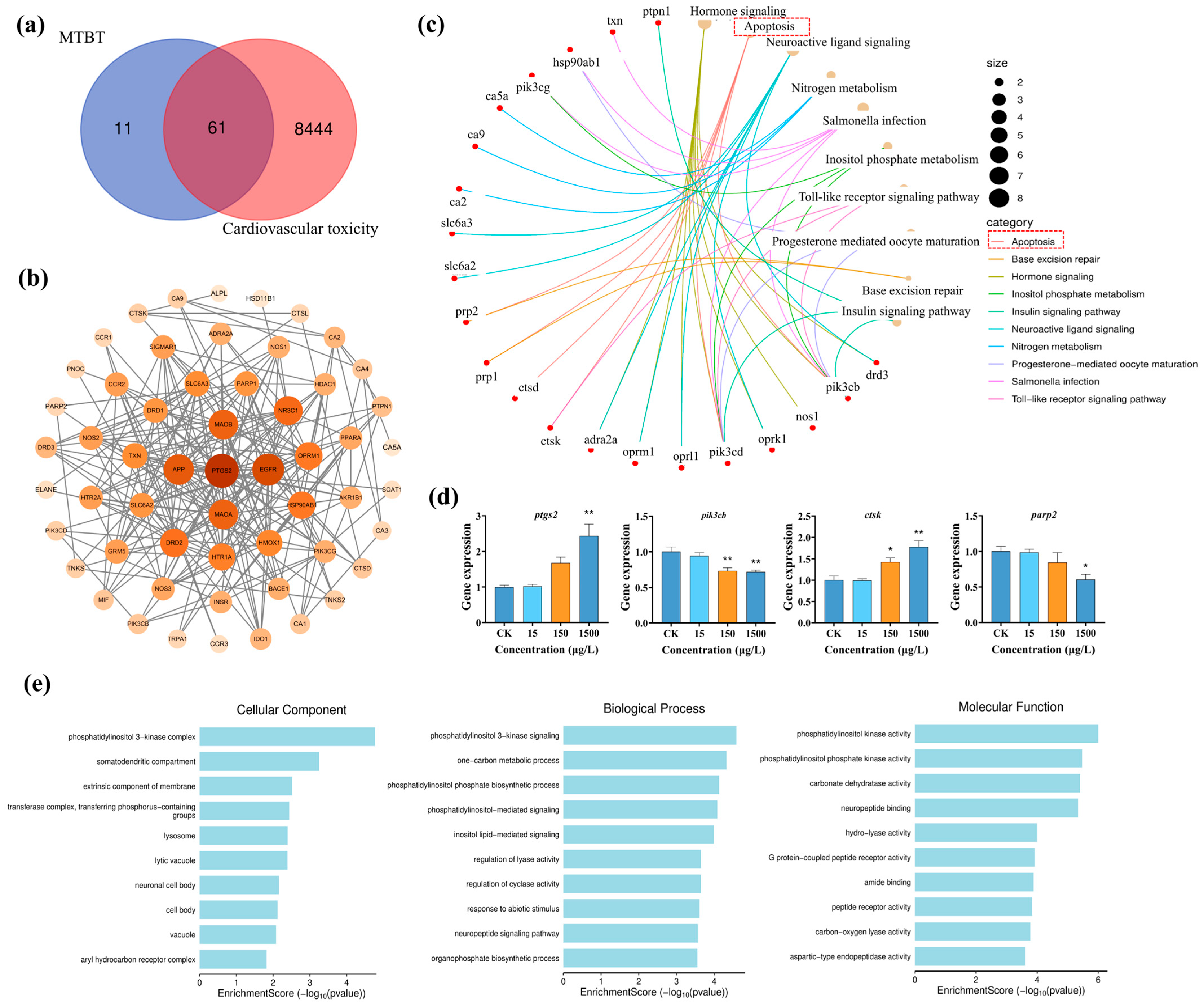 Biology 14 01398 g004
