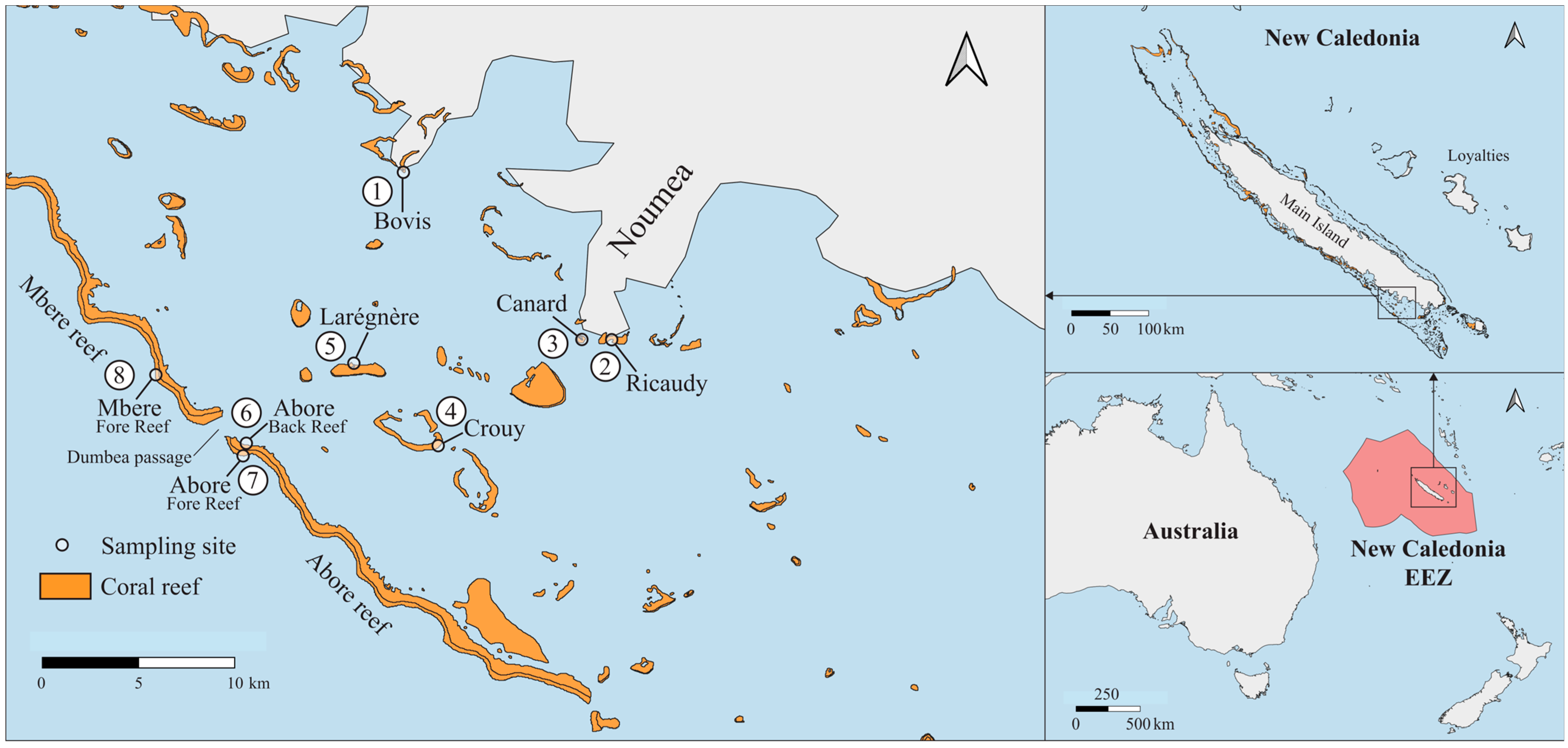 Biology 14 01419 g001
