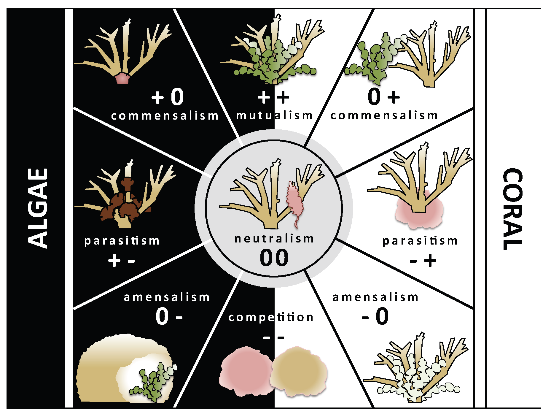 Biology 14 01419 g008