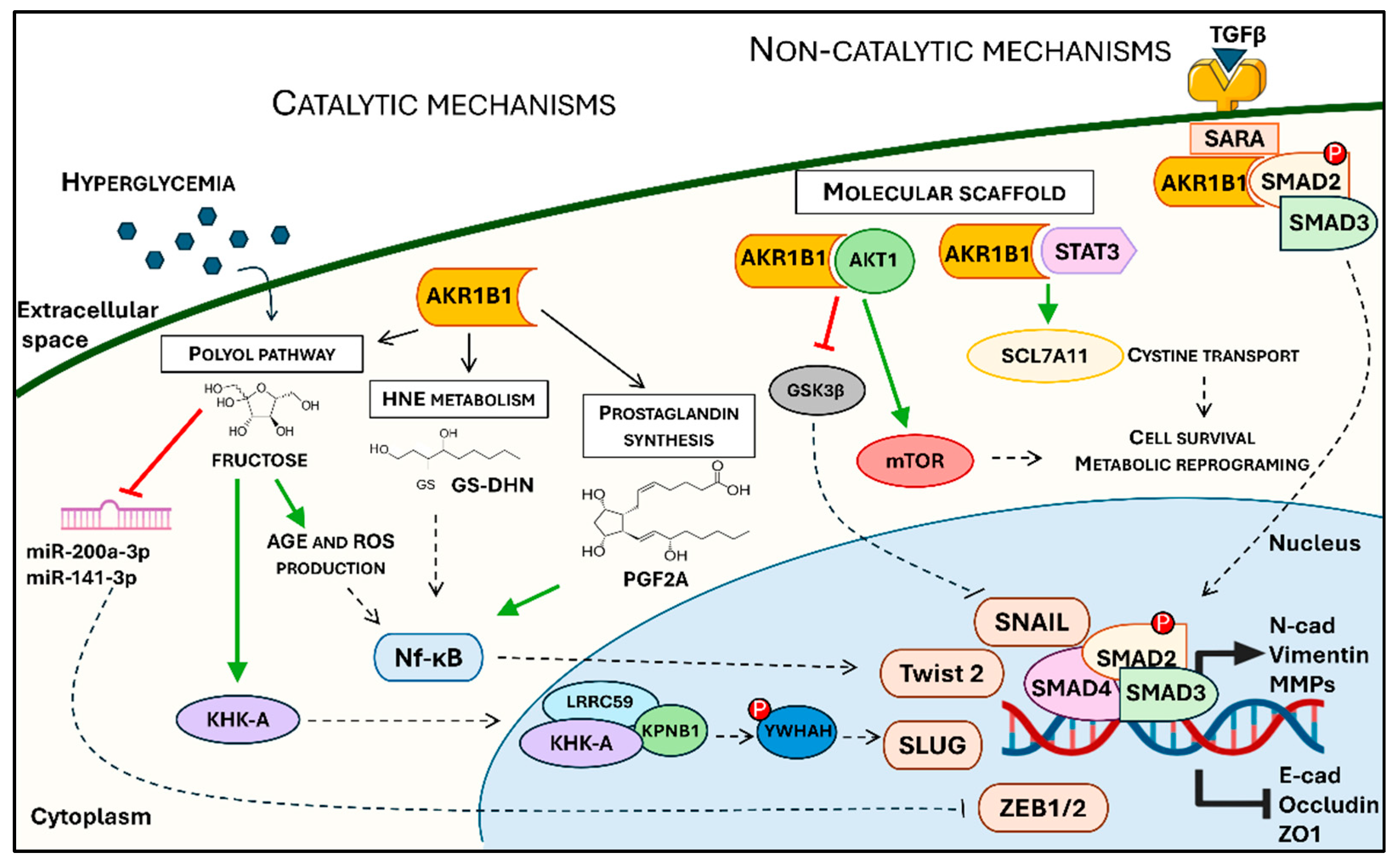 Biology 14 01422 g001