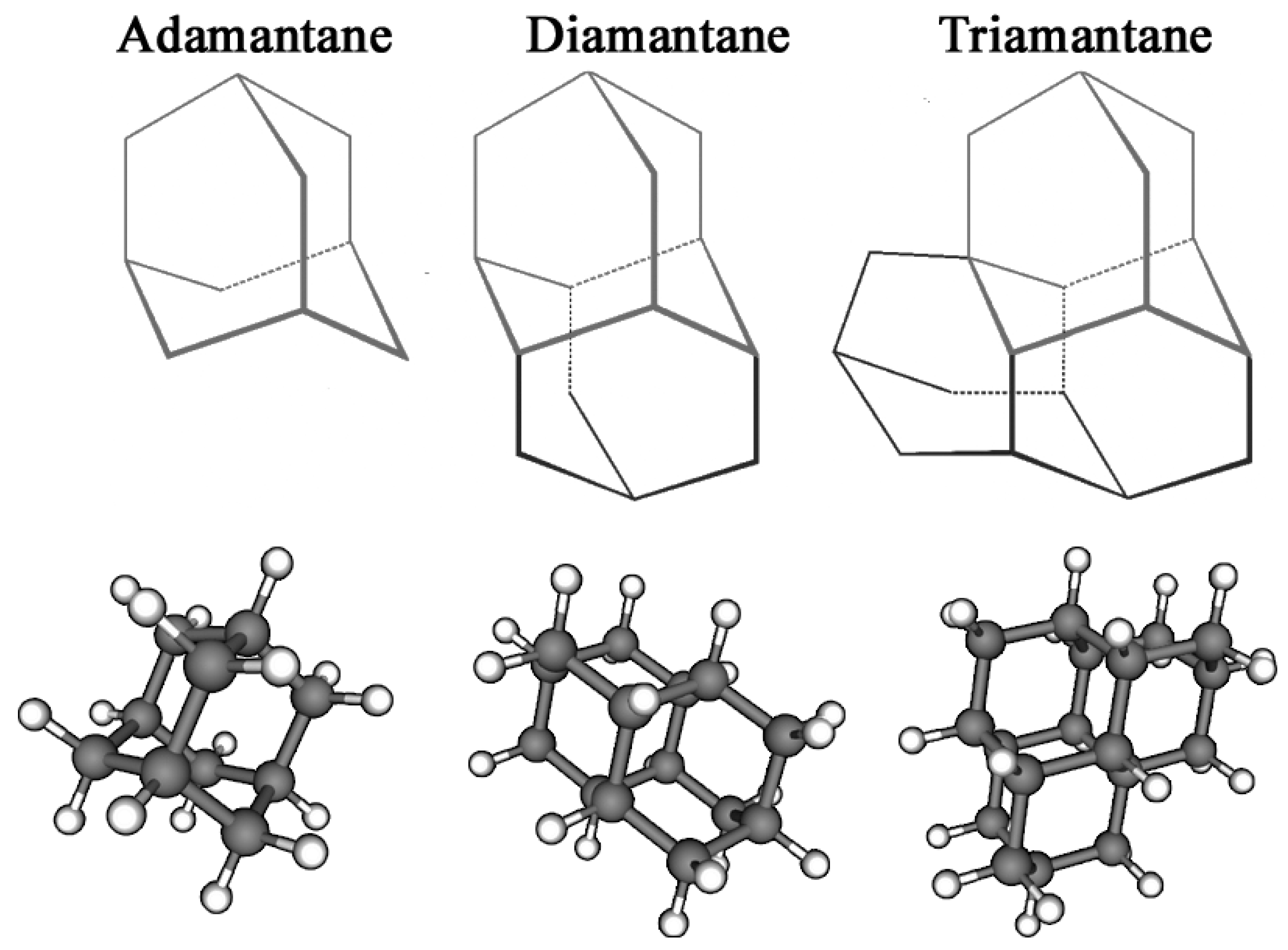 Biology 14 01429 g001