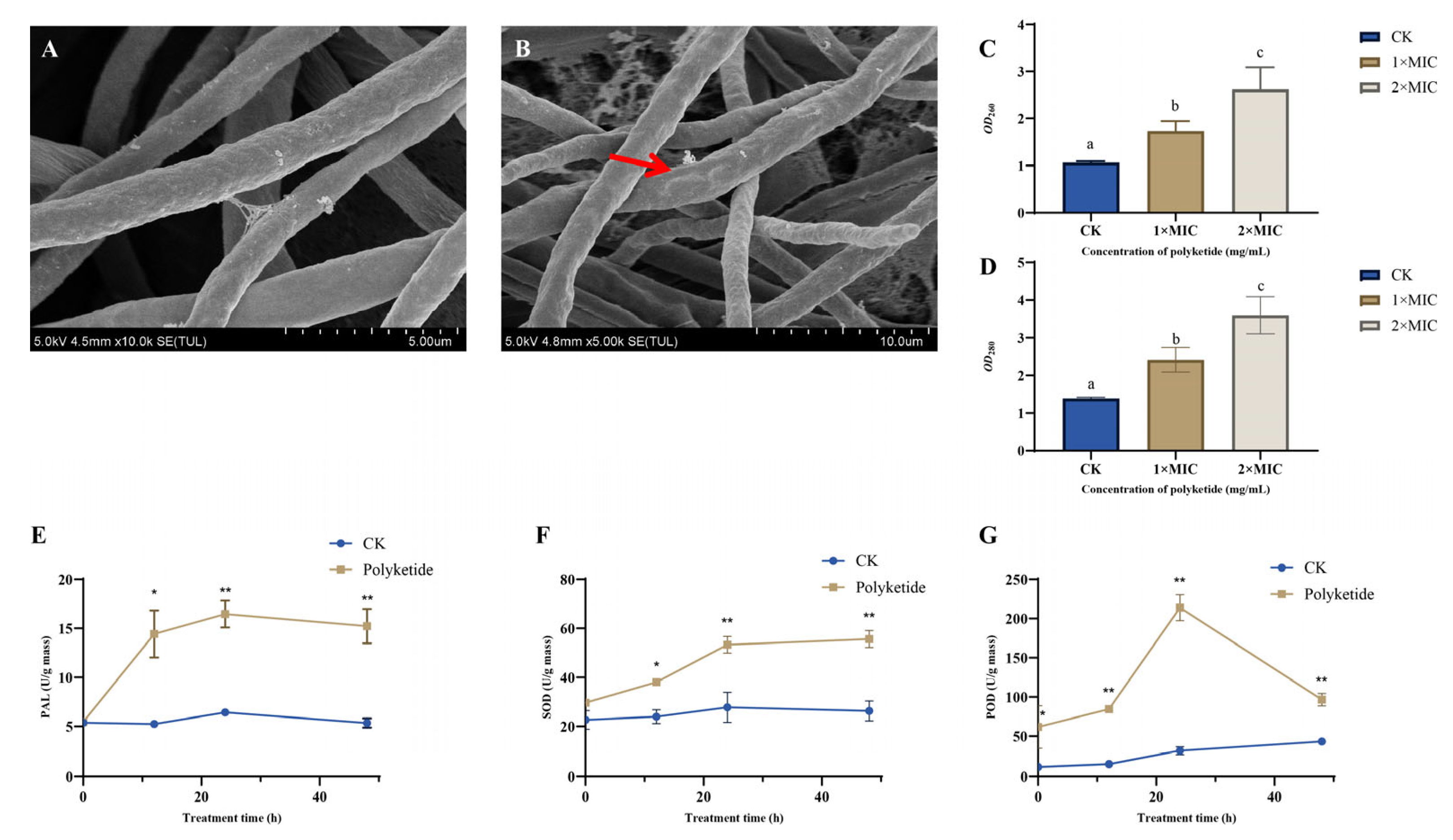 Biology 14 01436 g002