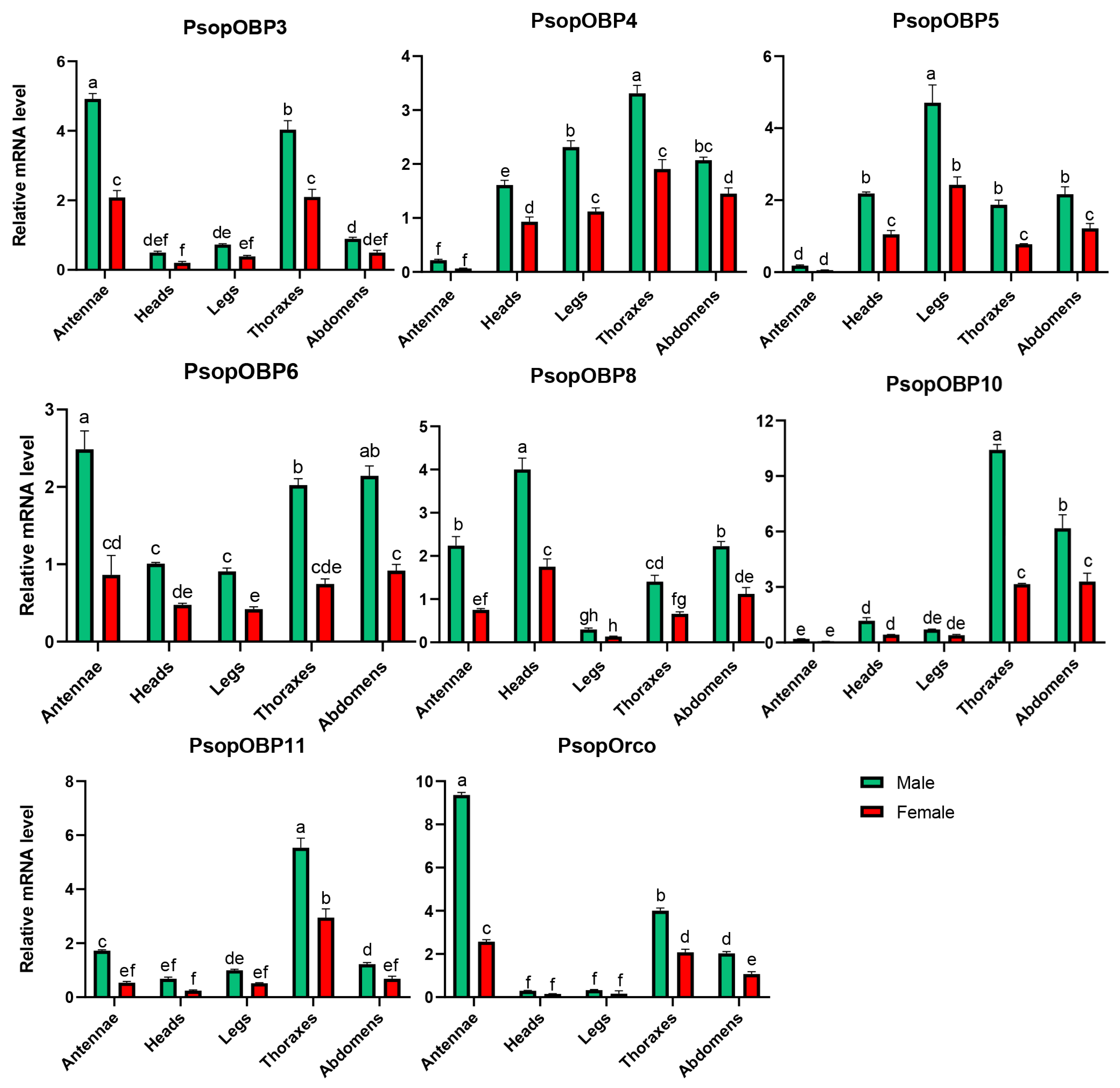 Biology 14 01442 g004