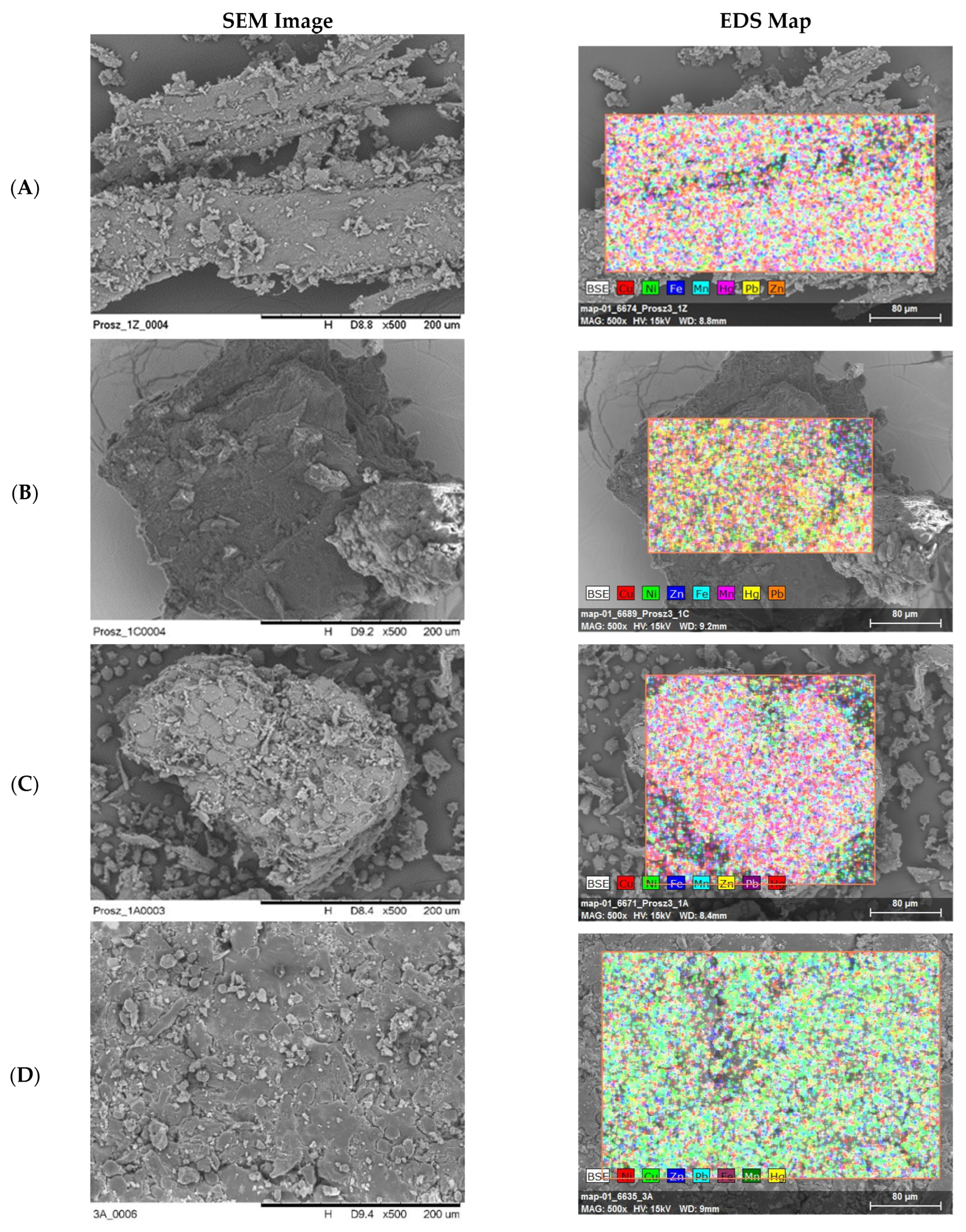 Biology 14 01479 g001