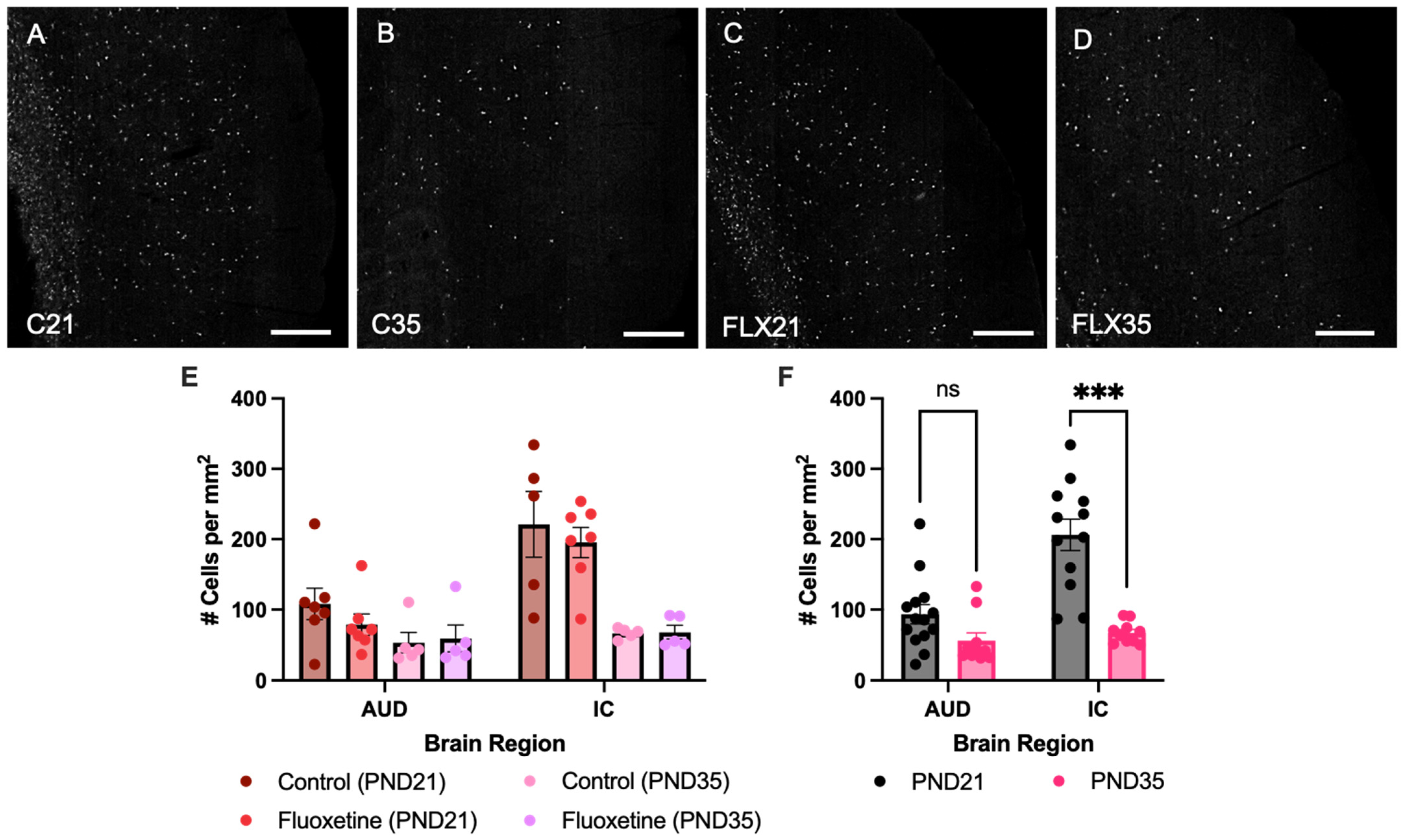 Biology 14 01482 g001