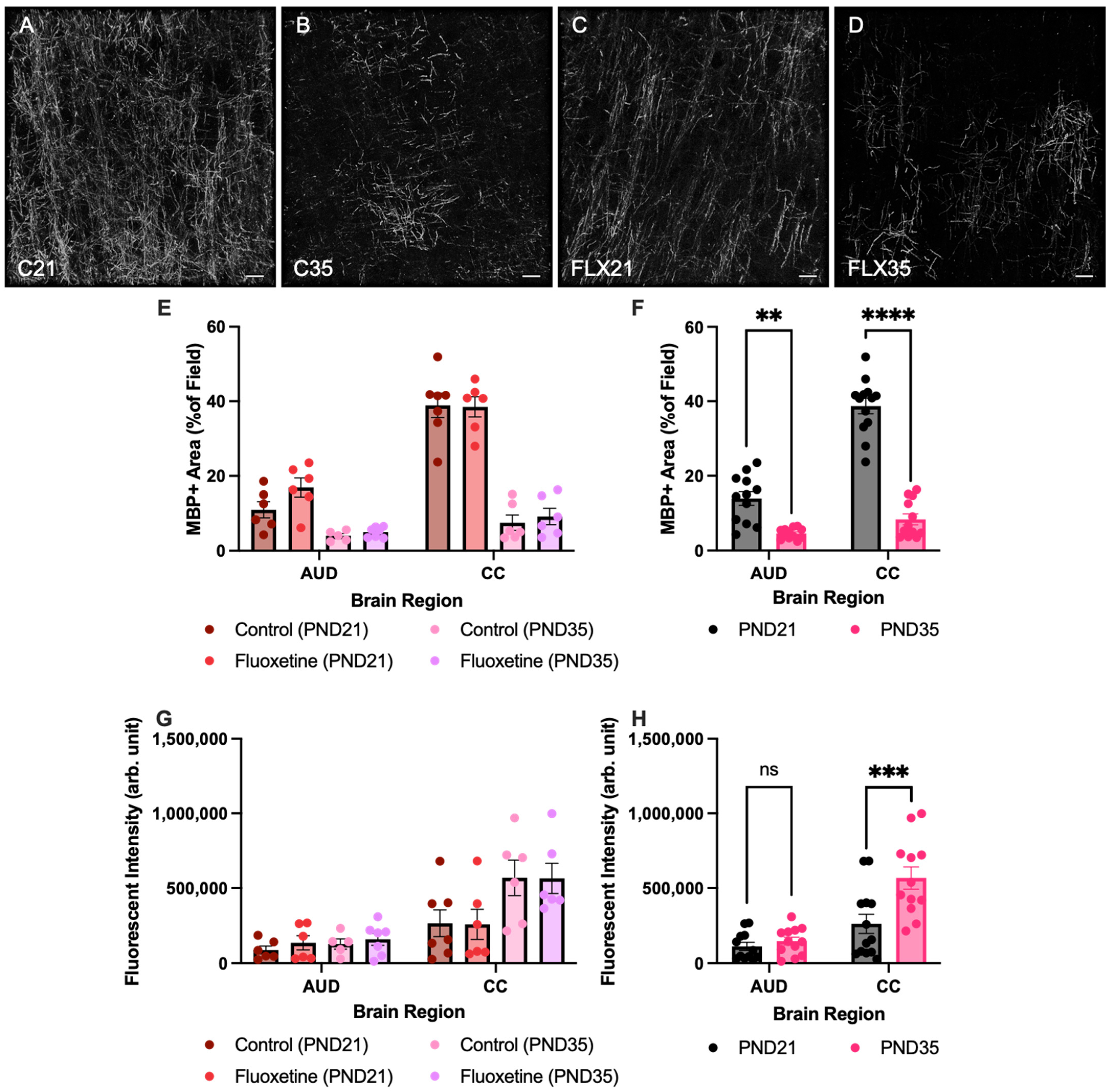 Biology 14 01482 g002