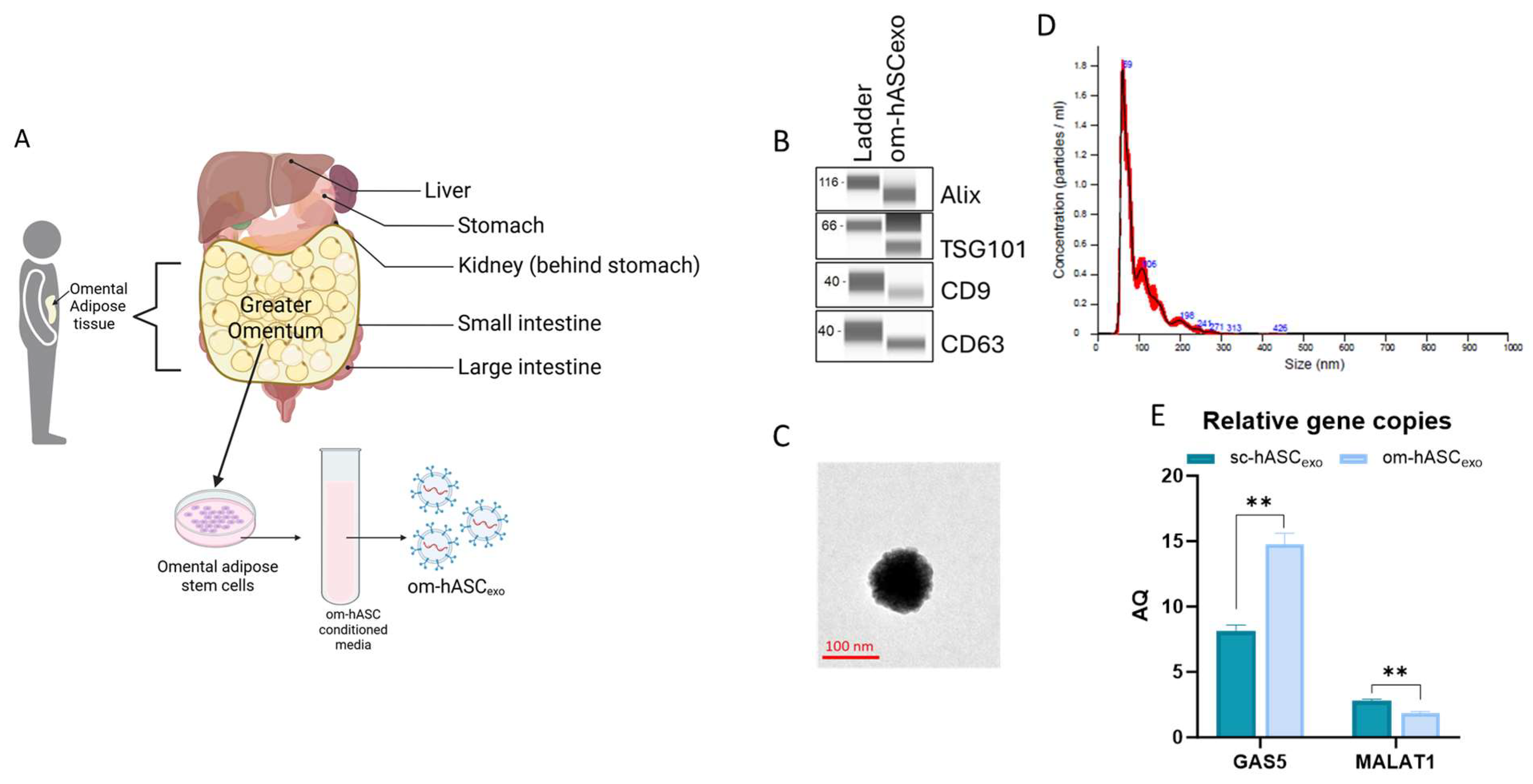 Biology 14 01509 g002 Biology 14 01509 g002