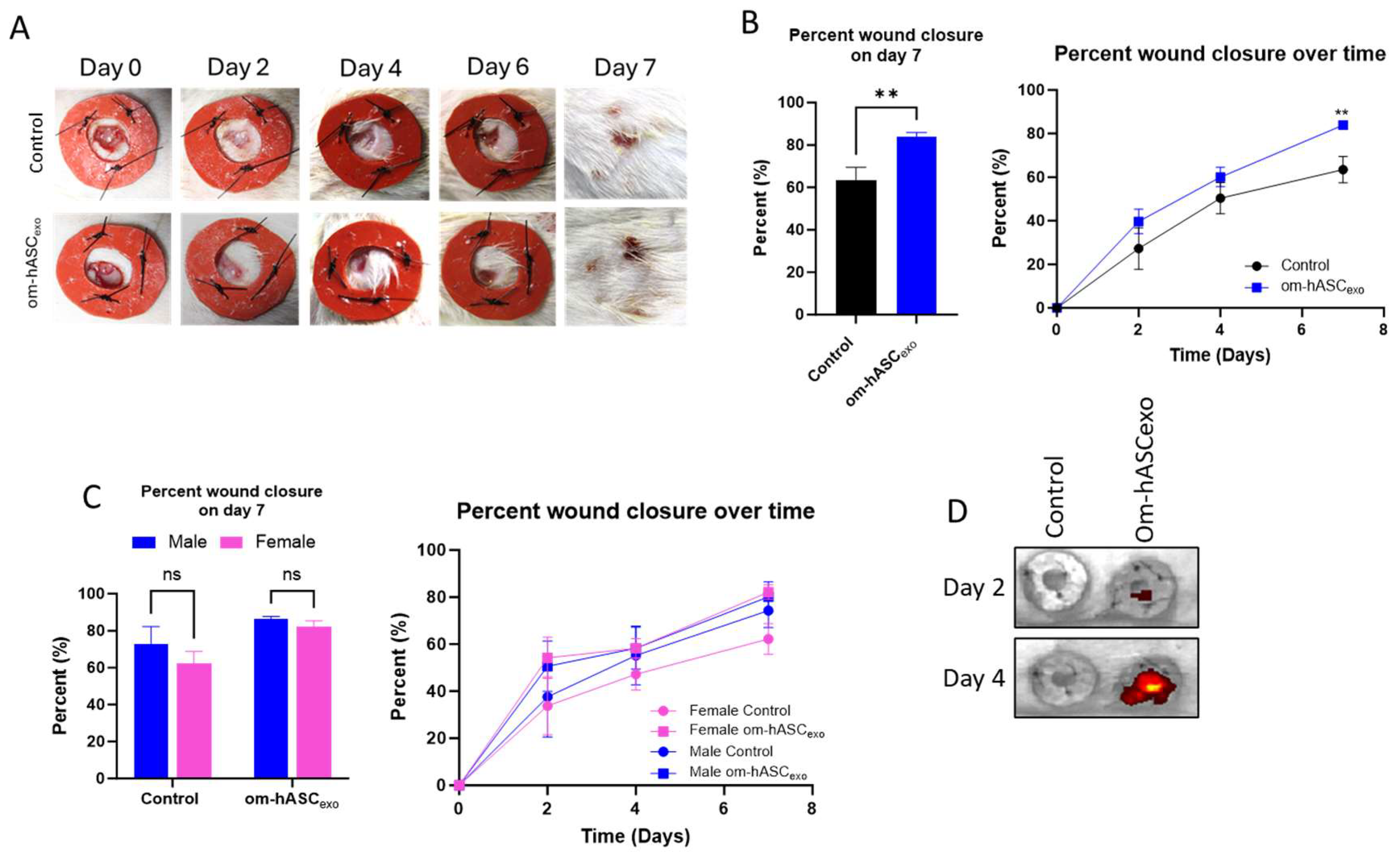 Biology 14 01509 g007 Biology 14 01509 g007