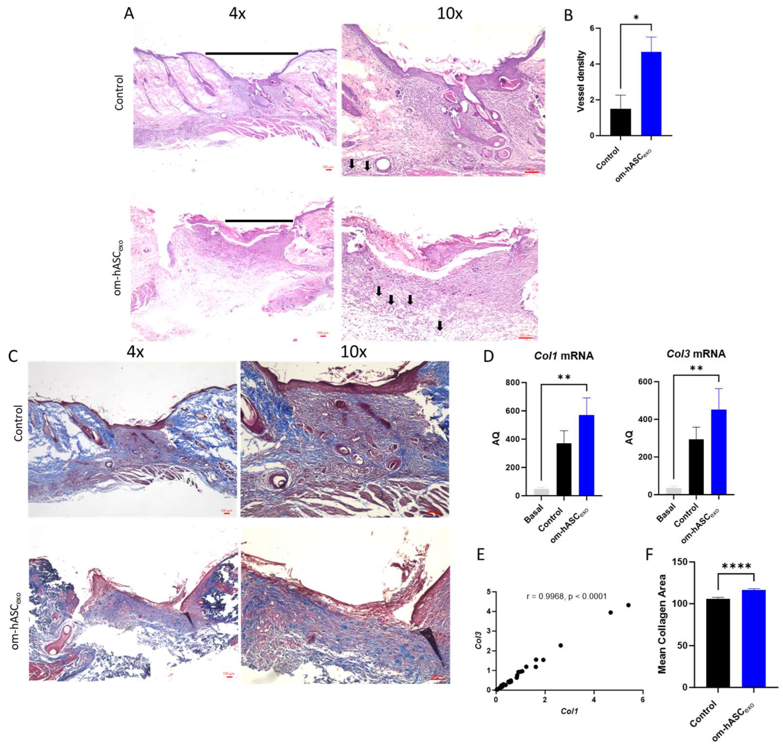 Biology 14 01509 g008a Biology 14 01509 g008a