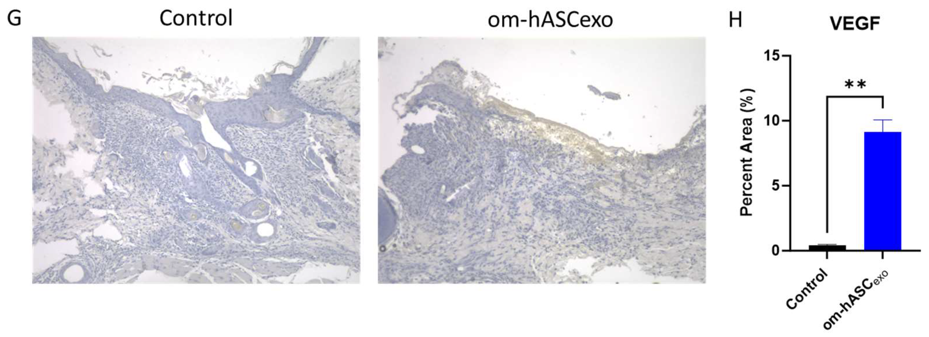 Biology 14 01509 g008b Biology 14 01509 g008b