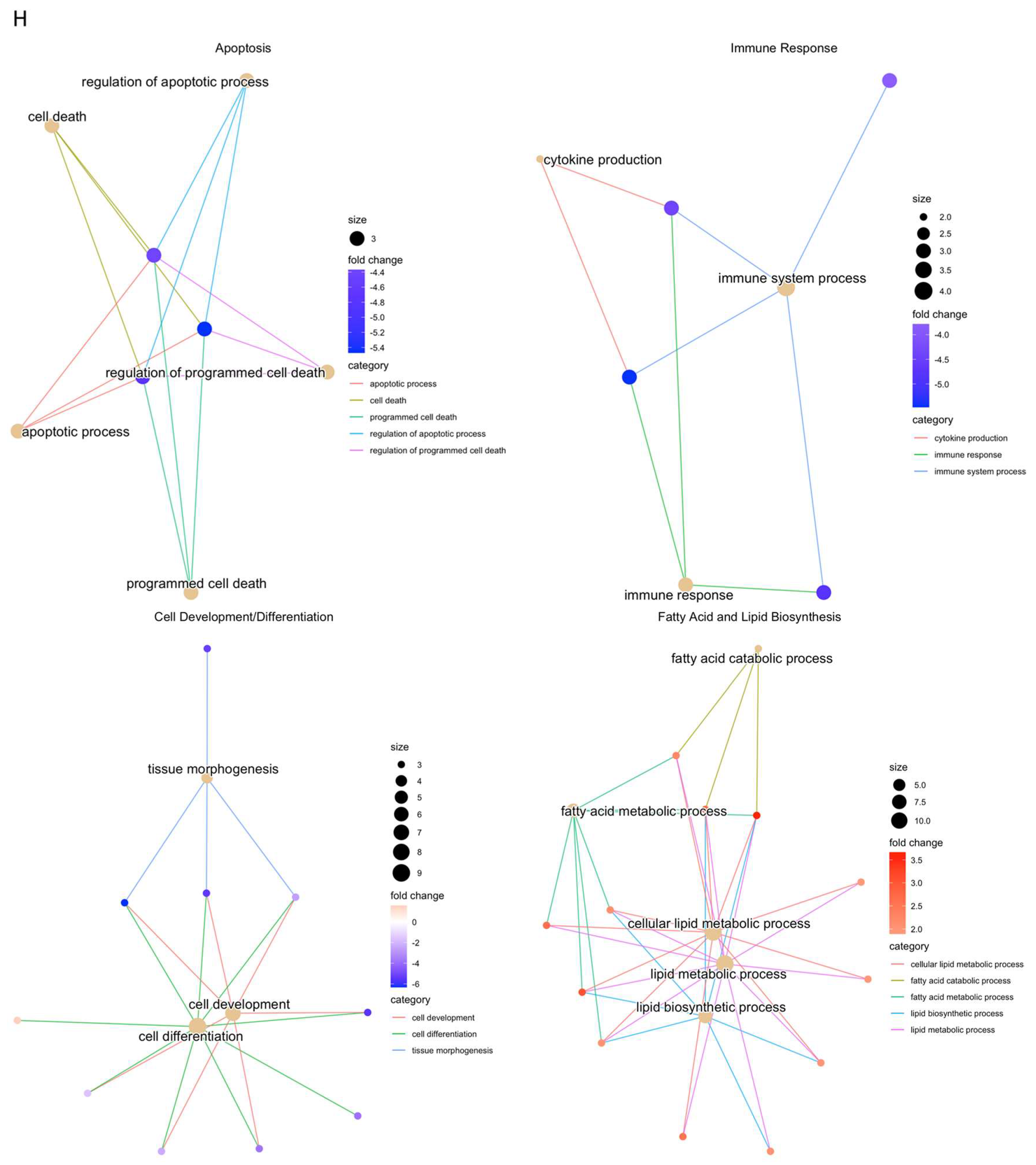 Biology 14 01509 g009c Biology 14 01509 g009c