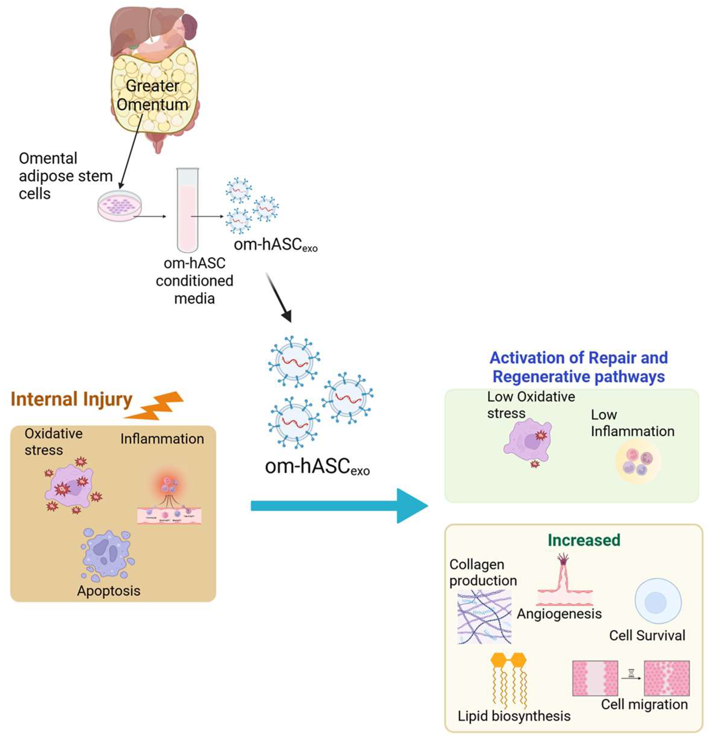 Biology 14 01509 g011 Biology 14 01509 g011