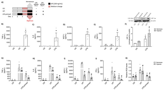 Biology 14 01512 g001
