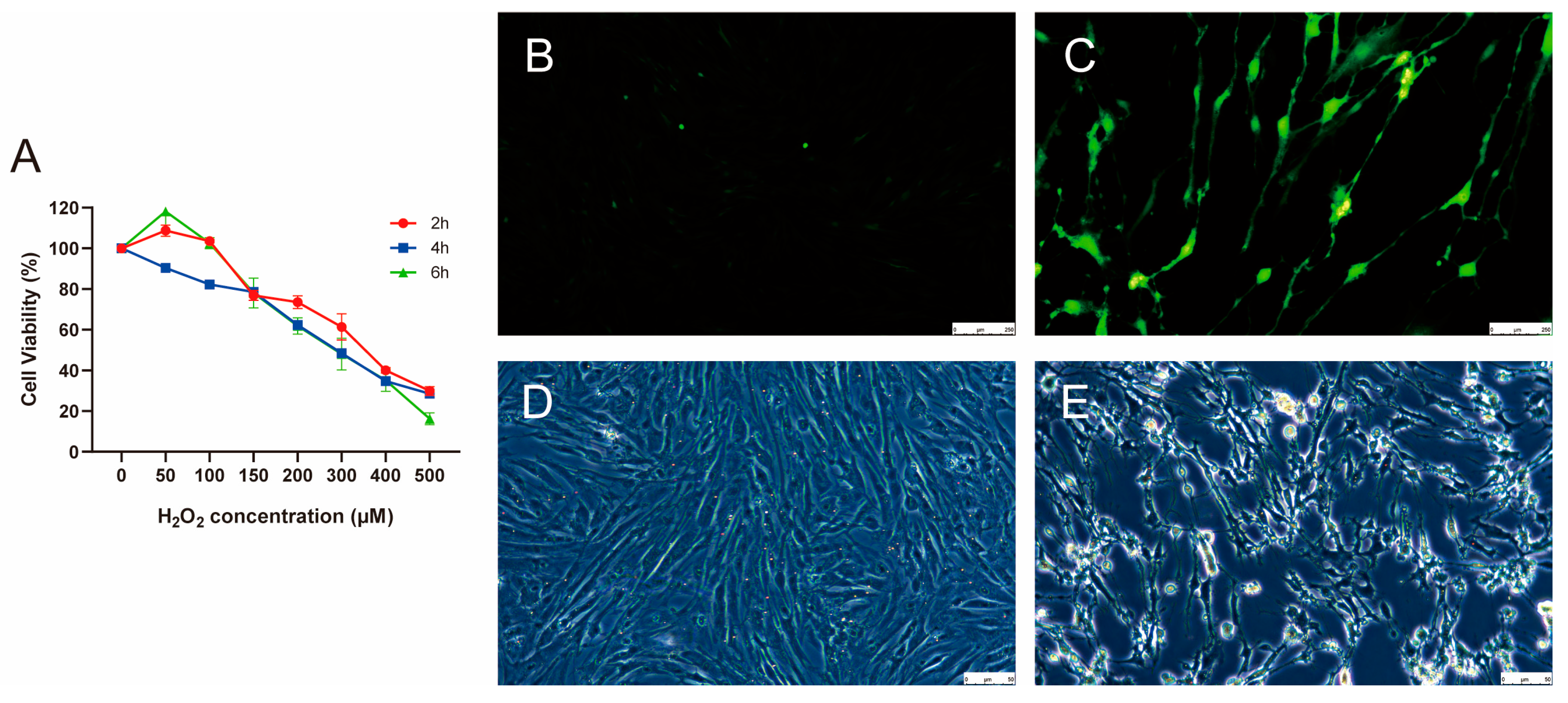 Biology 14 01519 g001