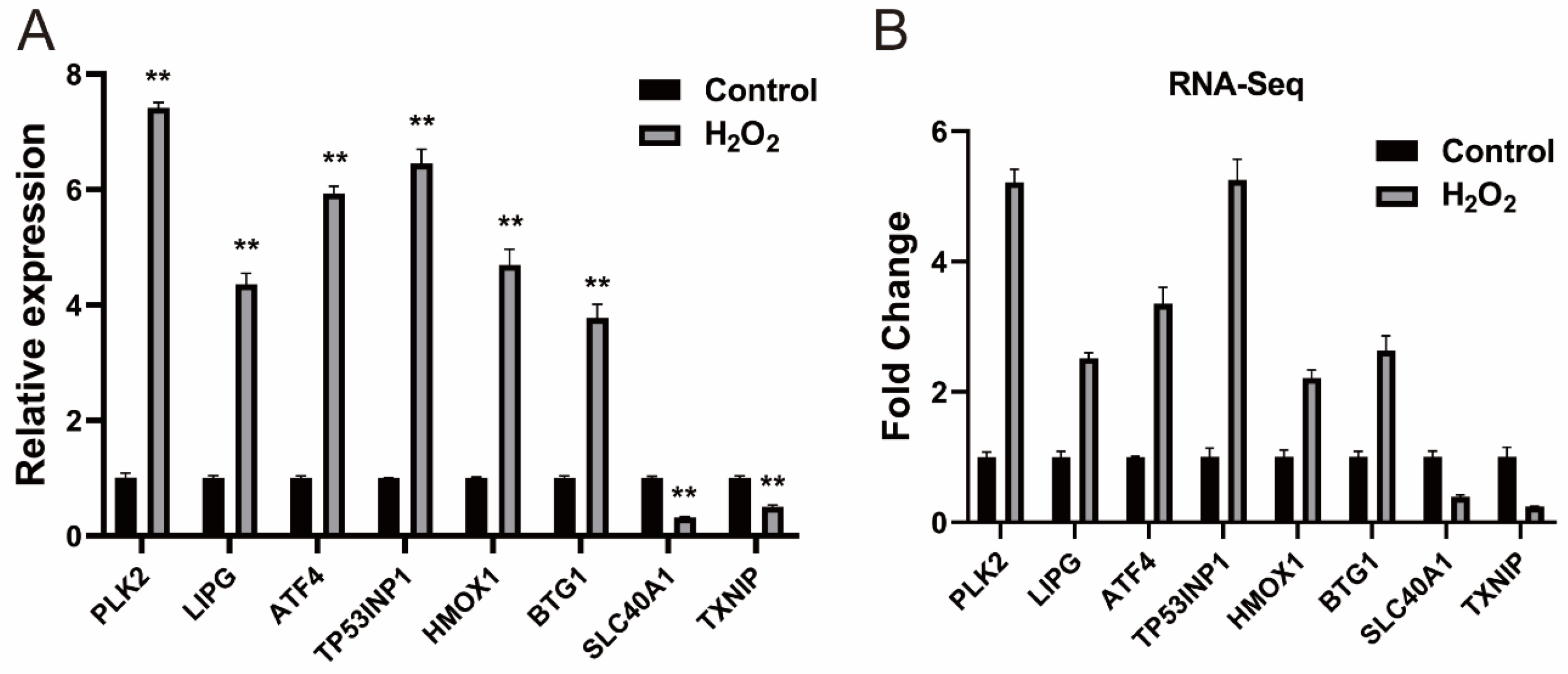 Biology 14 01519 g002