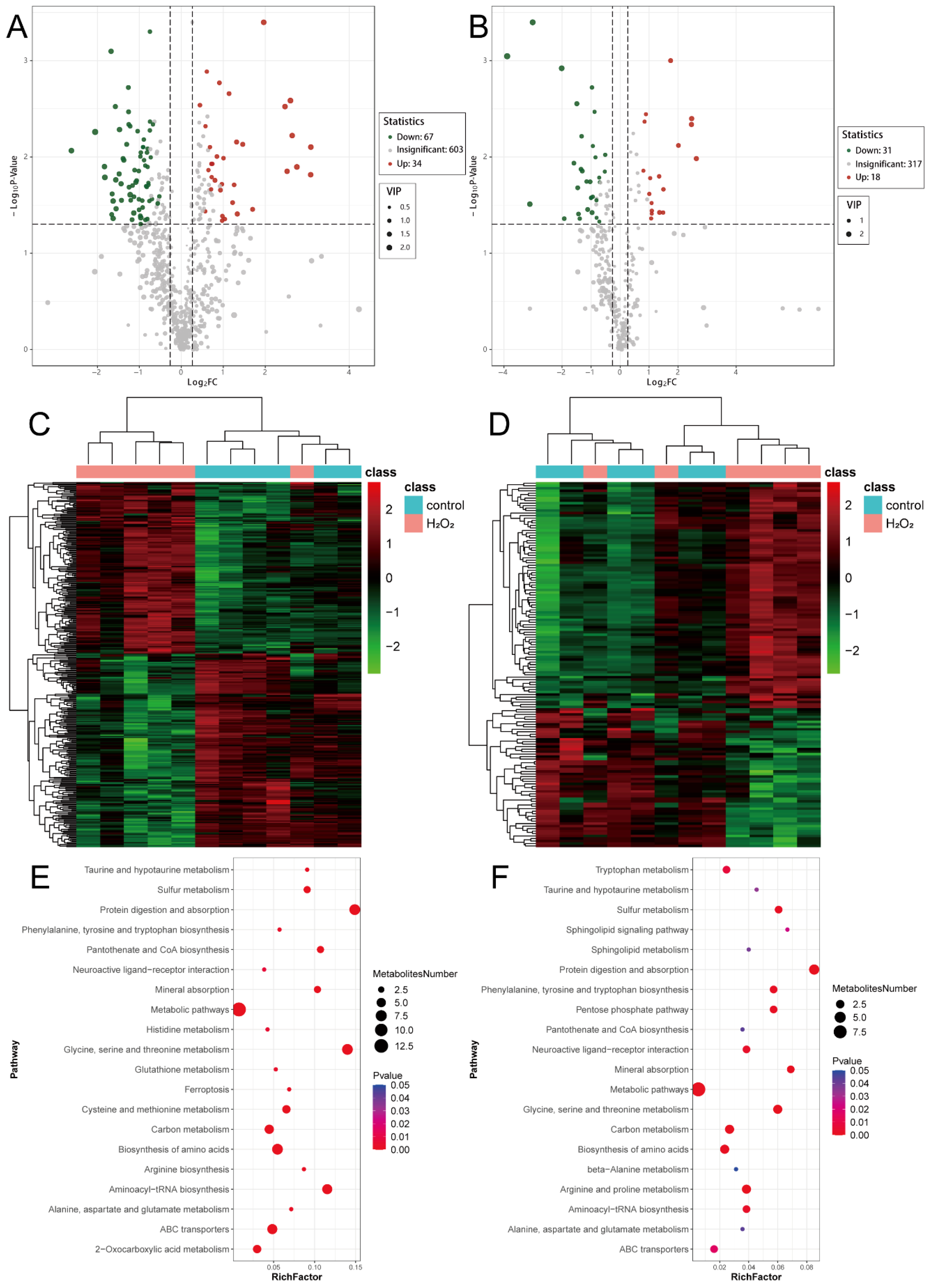 Biology 14 01519 g006