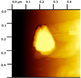 Biology 14 01520 i001 Biology 14 01520 i001