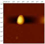 Biology 14 01520 i002 Biology 14 01520 i002