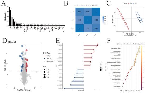Biology 14 01547 g004