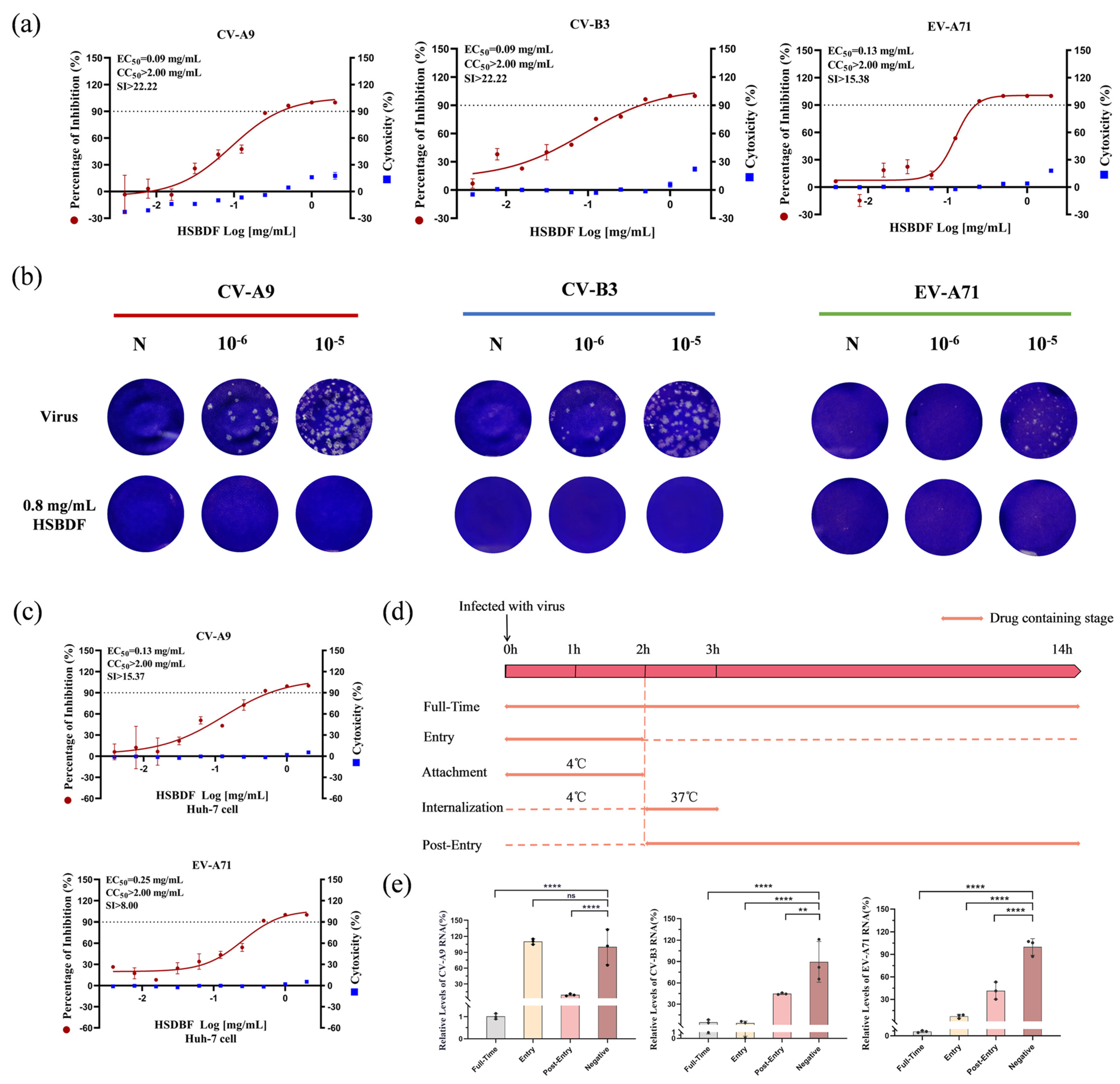 Biology 14 01615 g001