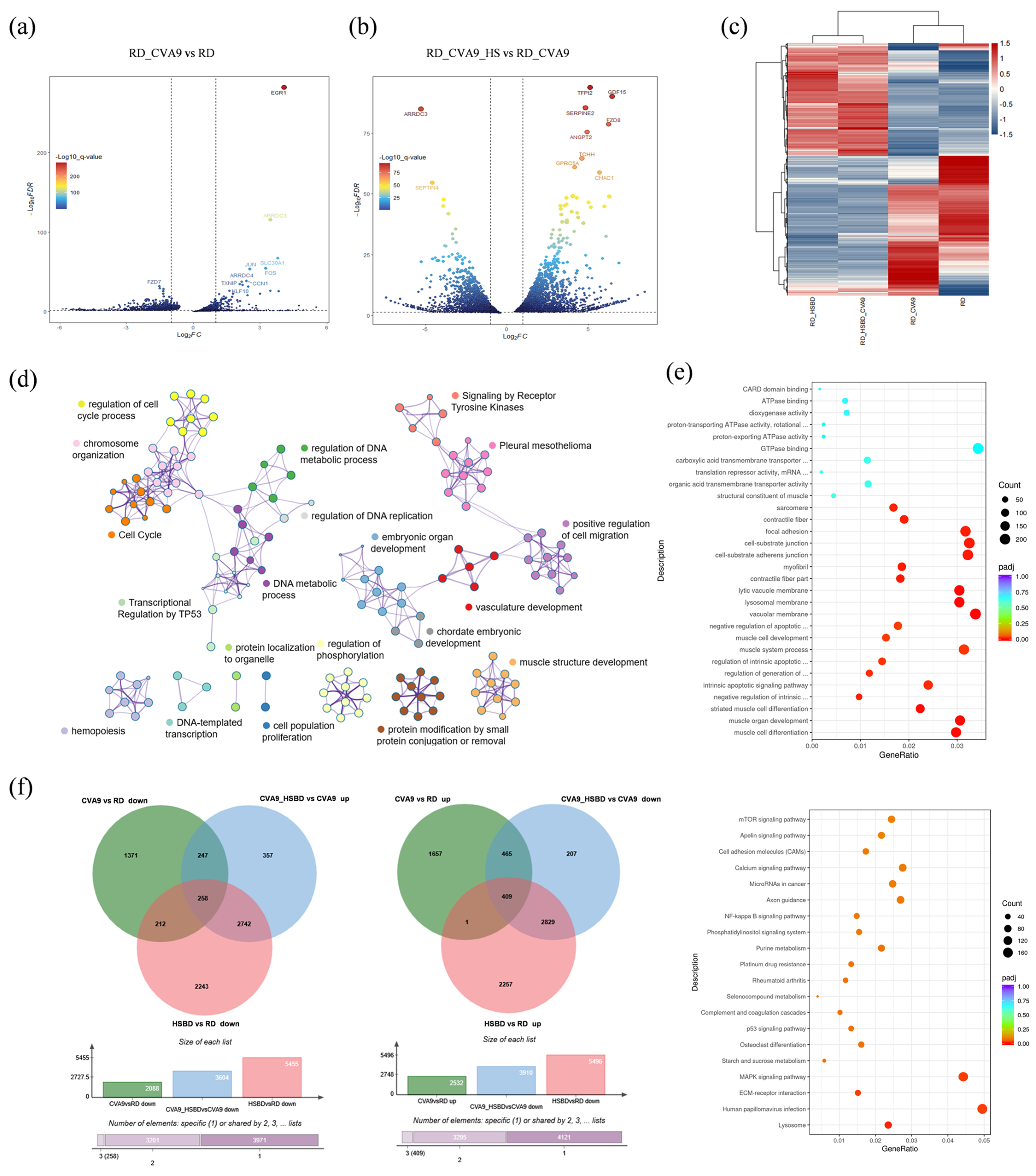 Biology 14 01615 g002