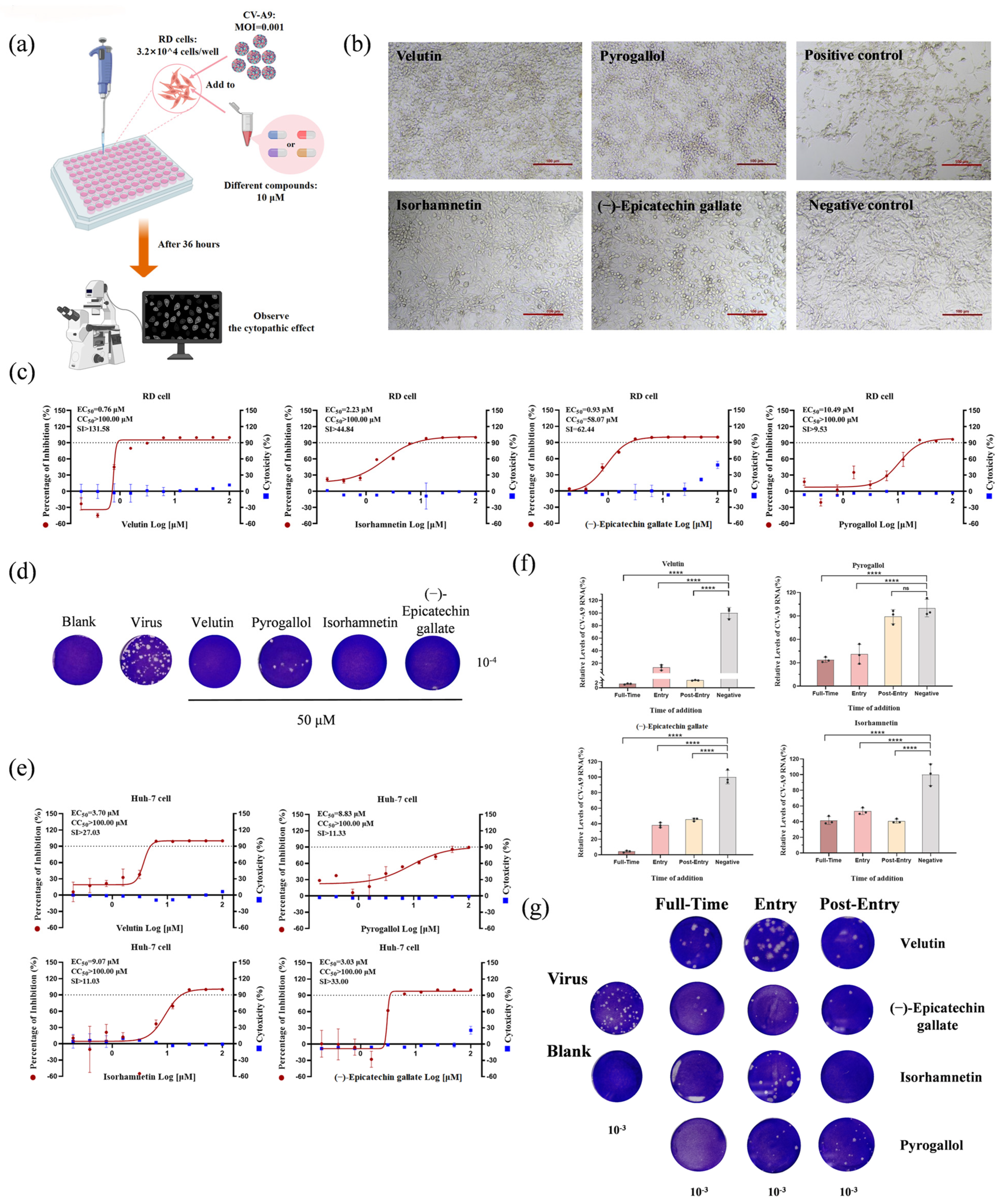 Biology 14 01615 g003