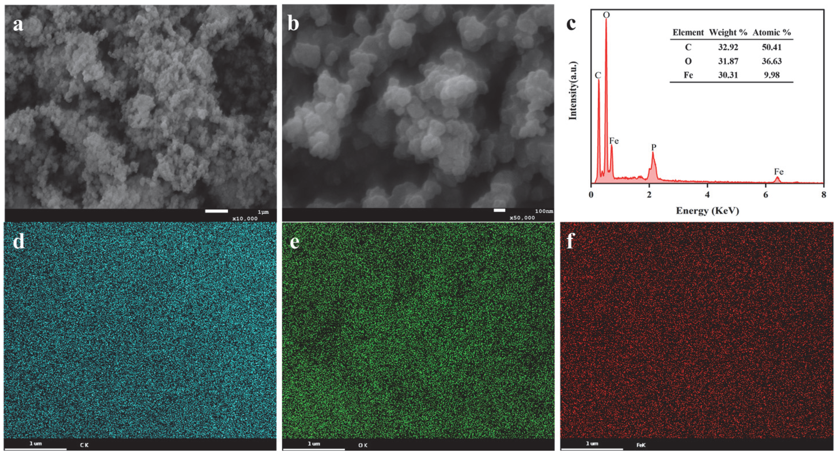 Biology 14 01626 g001