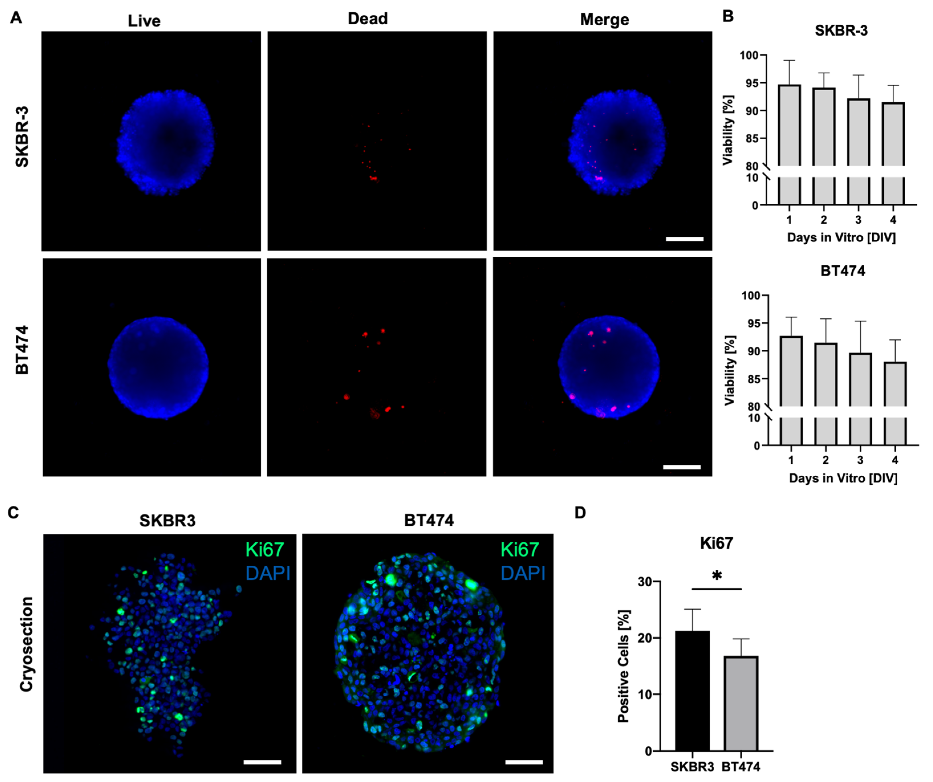 Biology 14 01654 g002