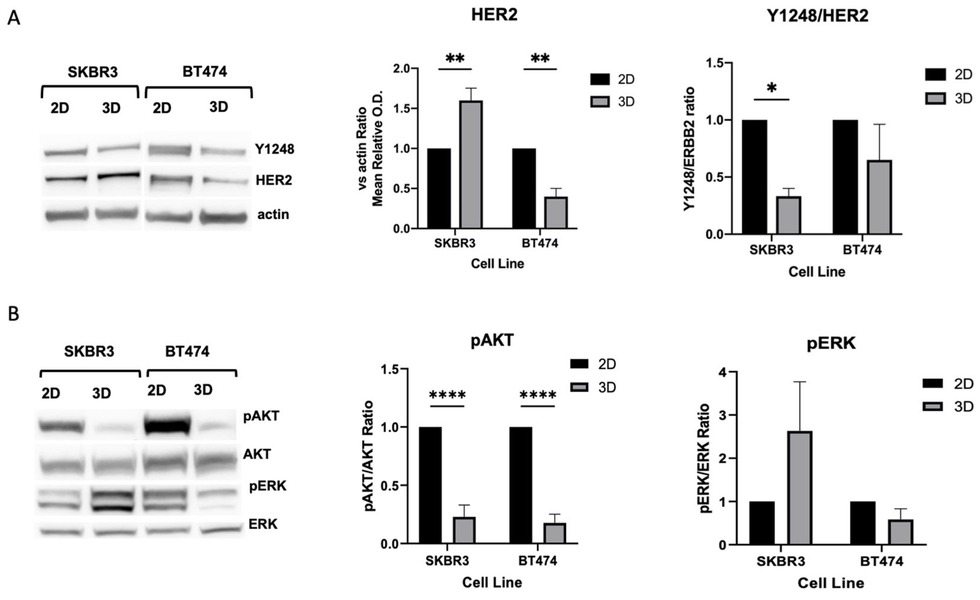 Biology 14 01654 g004