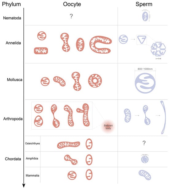 Biology 14 01728 g001