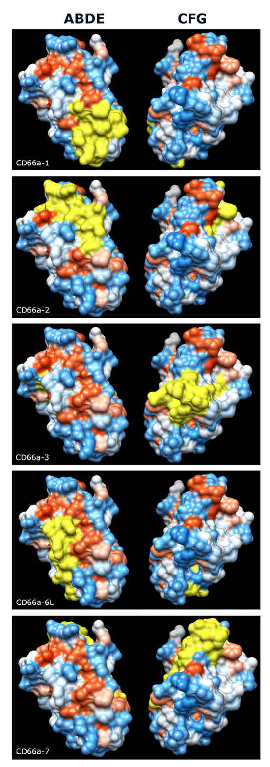 Biology 14 01744 g010