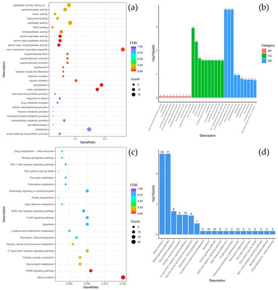 Biology 14 01762 g003