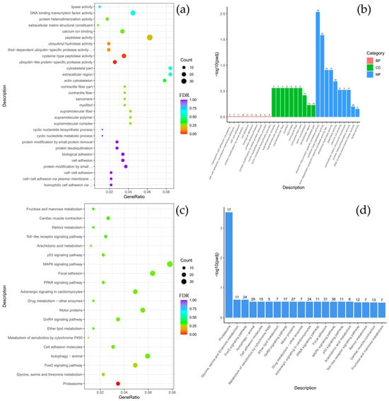 Biology 14 01762 g004