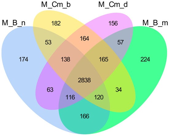 Biology 14 01762 g0a2