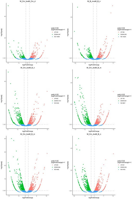 Biology 14 01762 g0a3