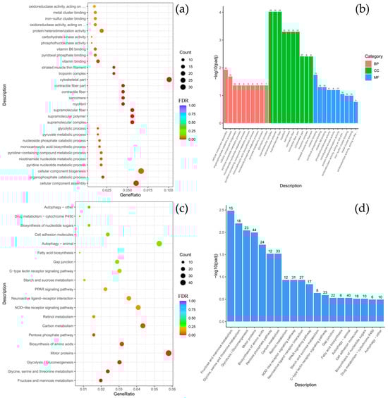 Biology 14 01762 g0a4